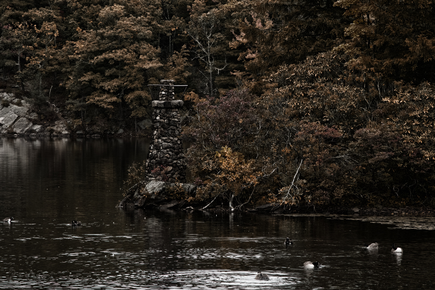 Nikon AF-S Nikkor 24-120mm F4G ED VR sample photo. Lake point photography