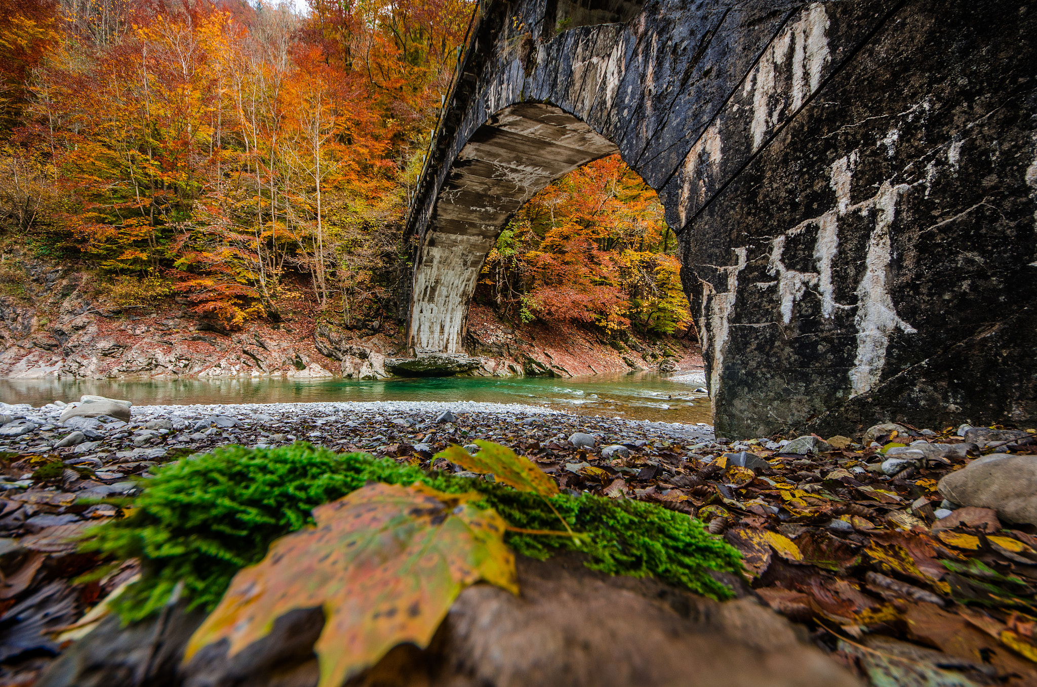 Sigma 8-16mm F4.5-5.6 DC HSM sample photo. Herbst photography