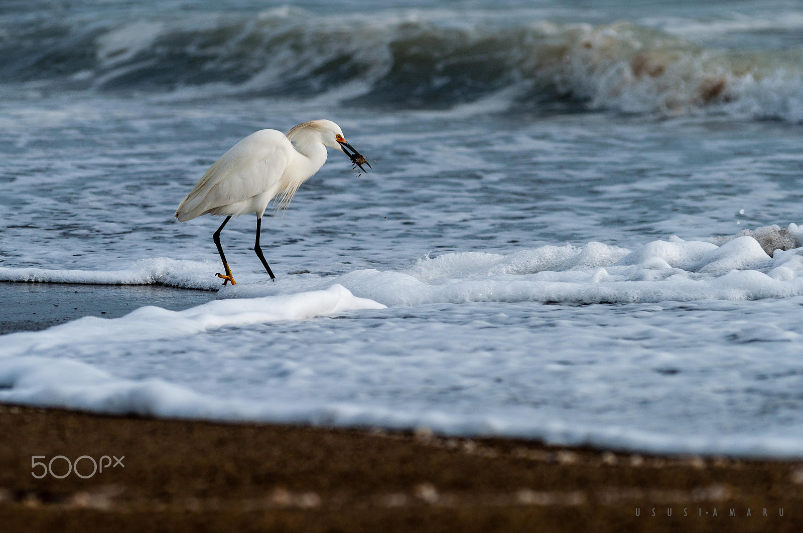 Nikon D5000 sample photo. Fishing photography
