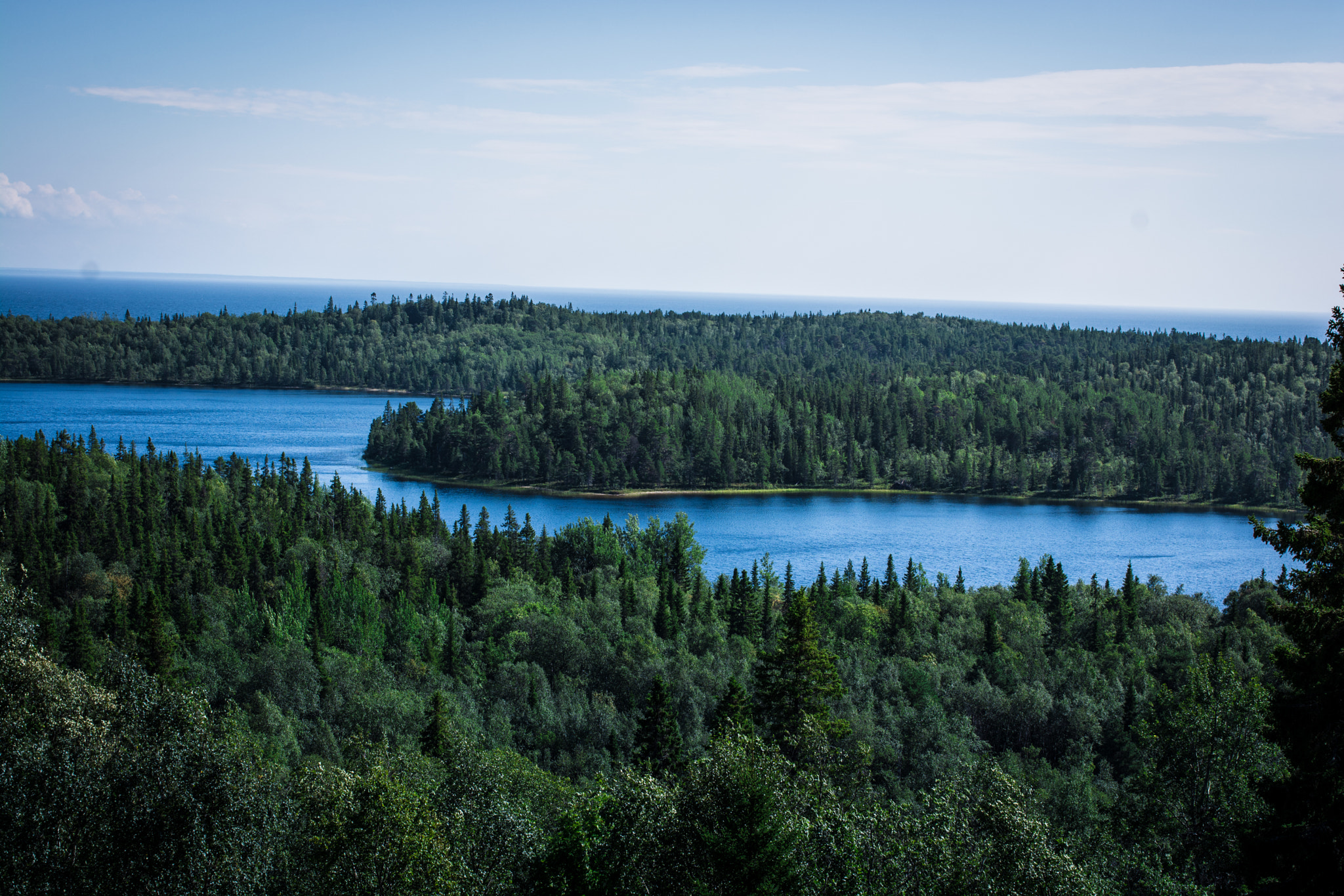 Nikon D7100 + Sigma 50mm F1.4 EX DG HSM sample photo. Лес да Река photography