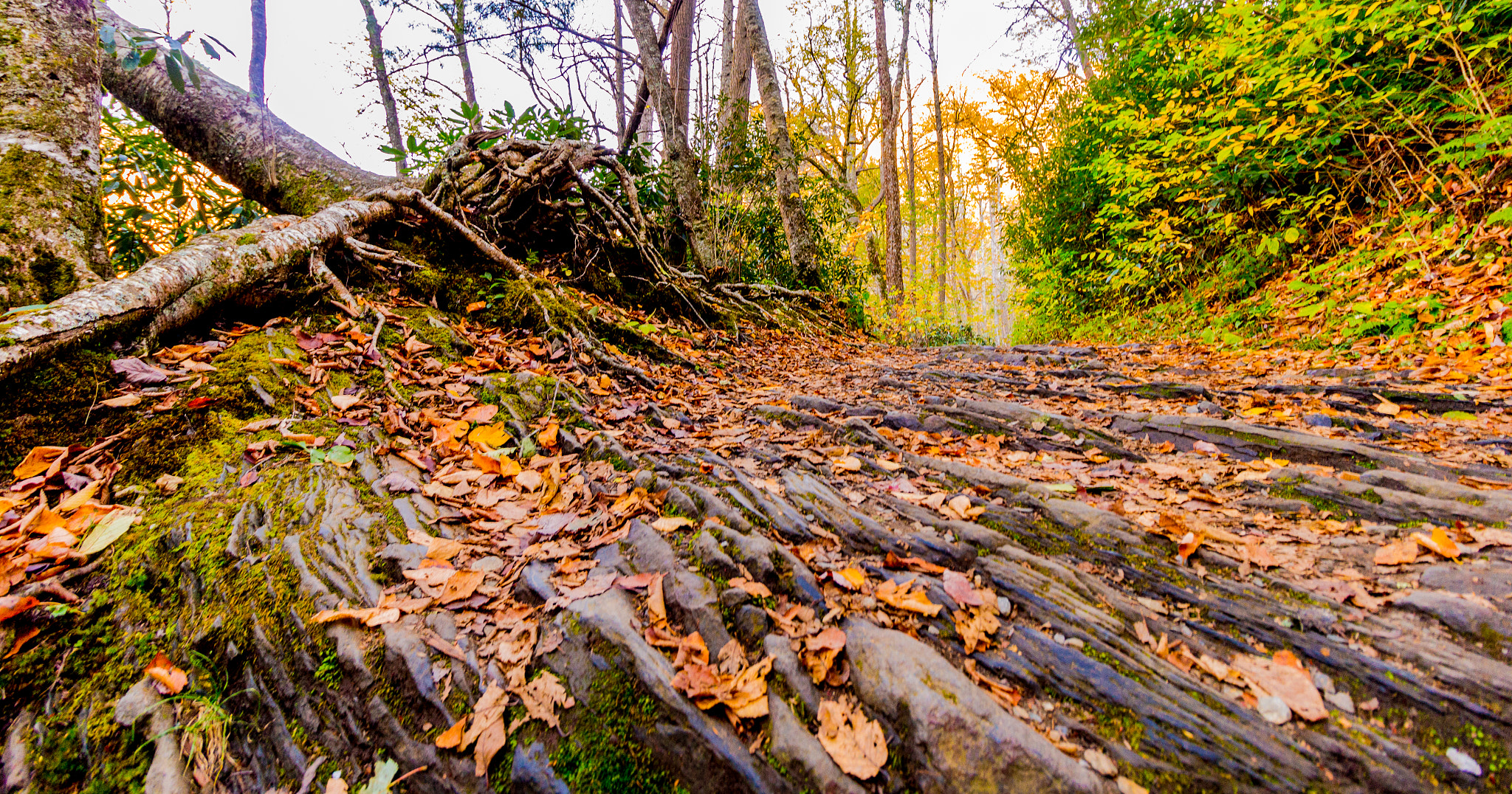 Canon EOS M sample photo. Chimney tops trail photography