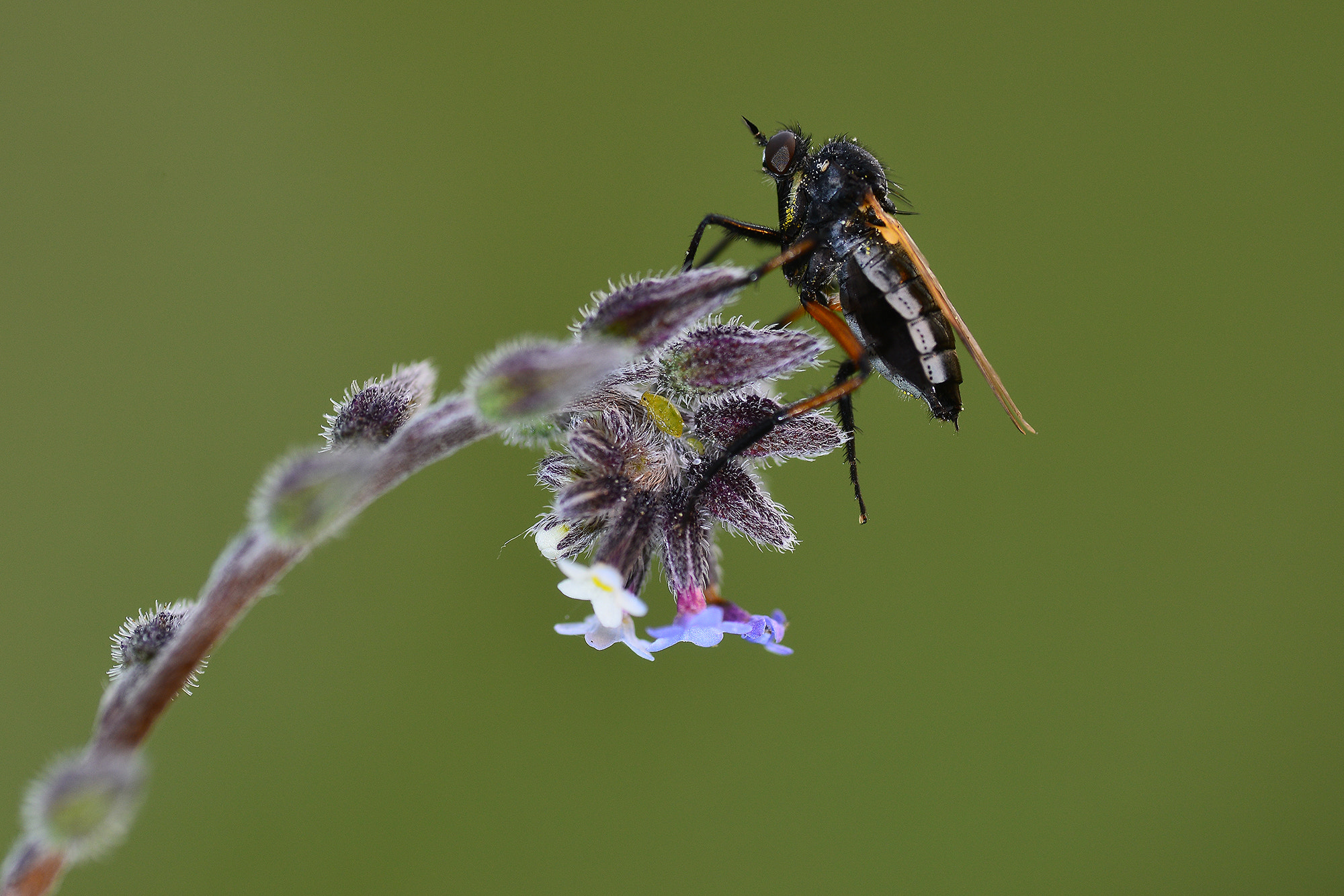 Nikon D800E sample photo