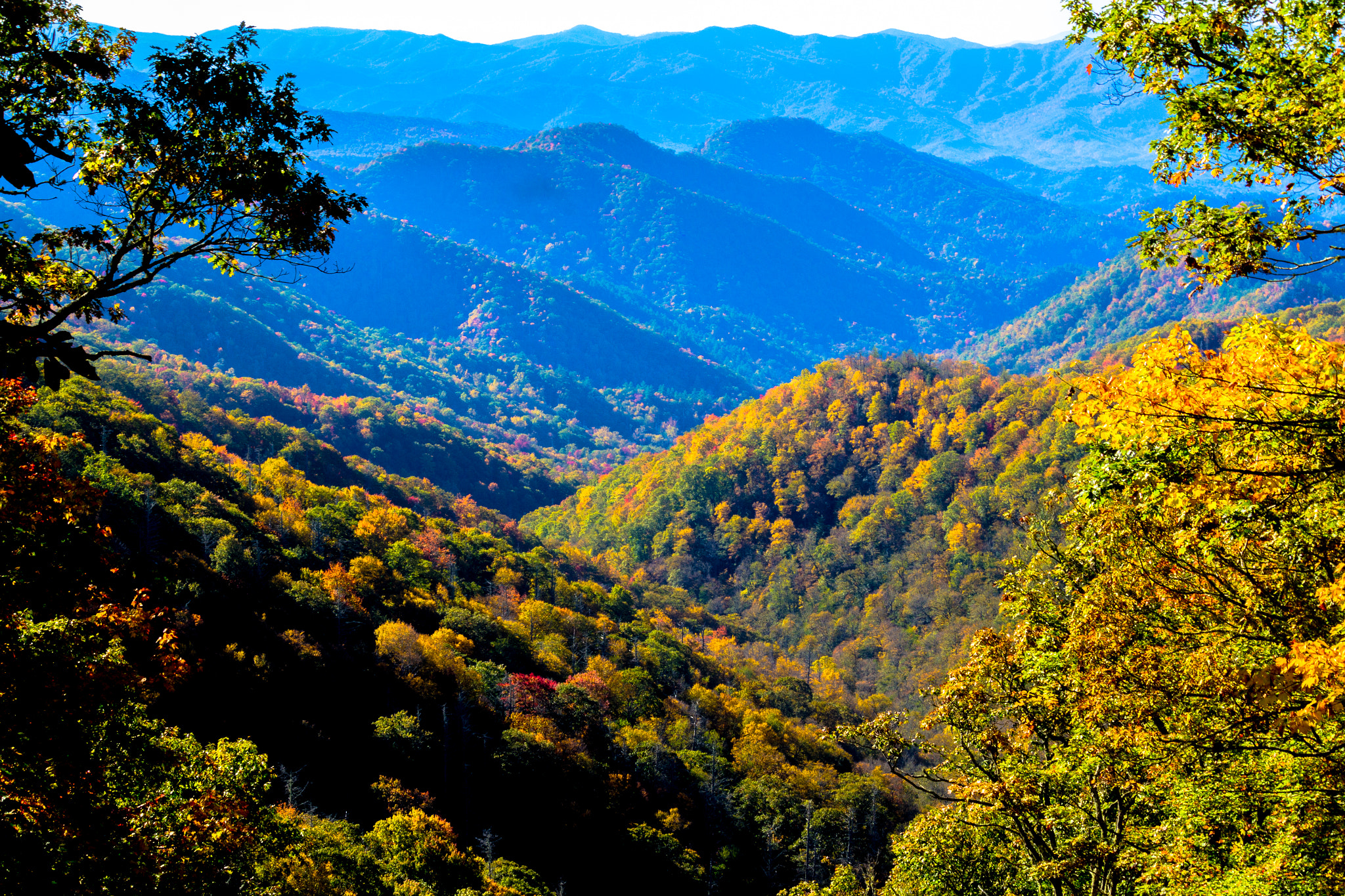 Canon EOS M sample photo. Smokies in fall glow photography