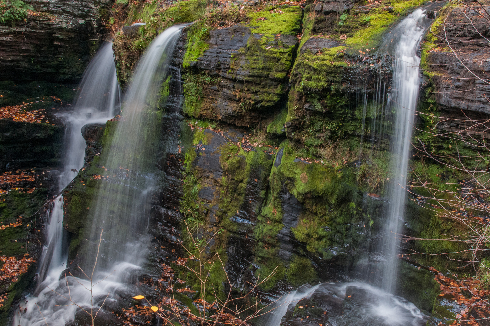 Nikon AF-S Nikkor 24-120mm F4G ED VR sample photo. Childs falls sp photography