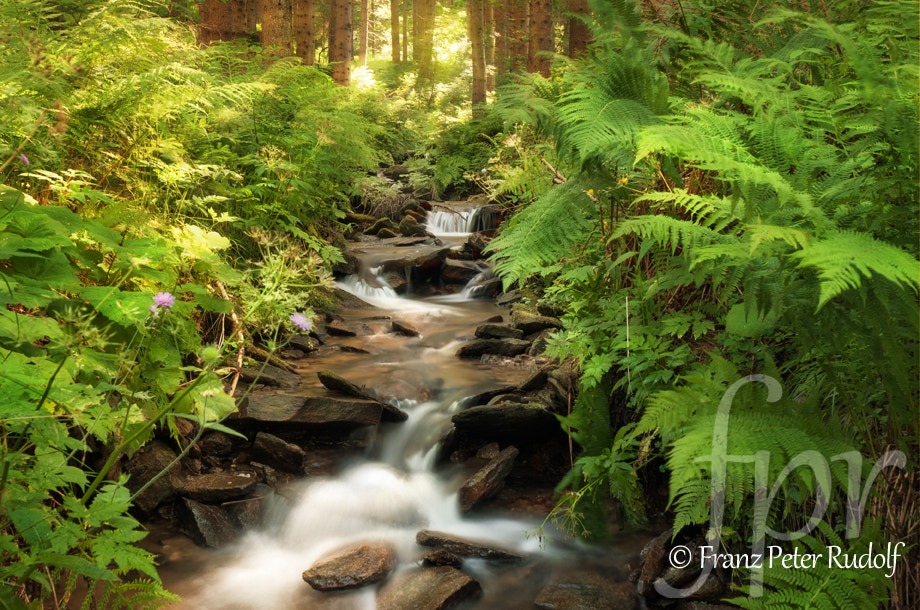 Canon EOS 40D + Canon EF 24mm F2.8 sample photo. Bachlauf mit klarem wasser photography