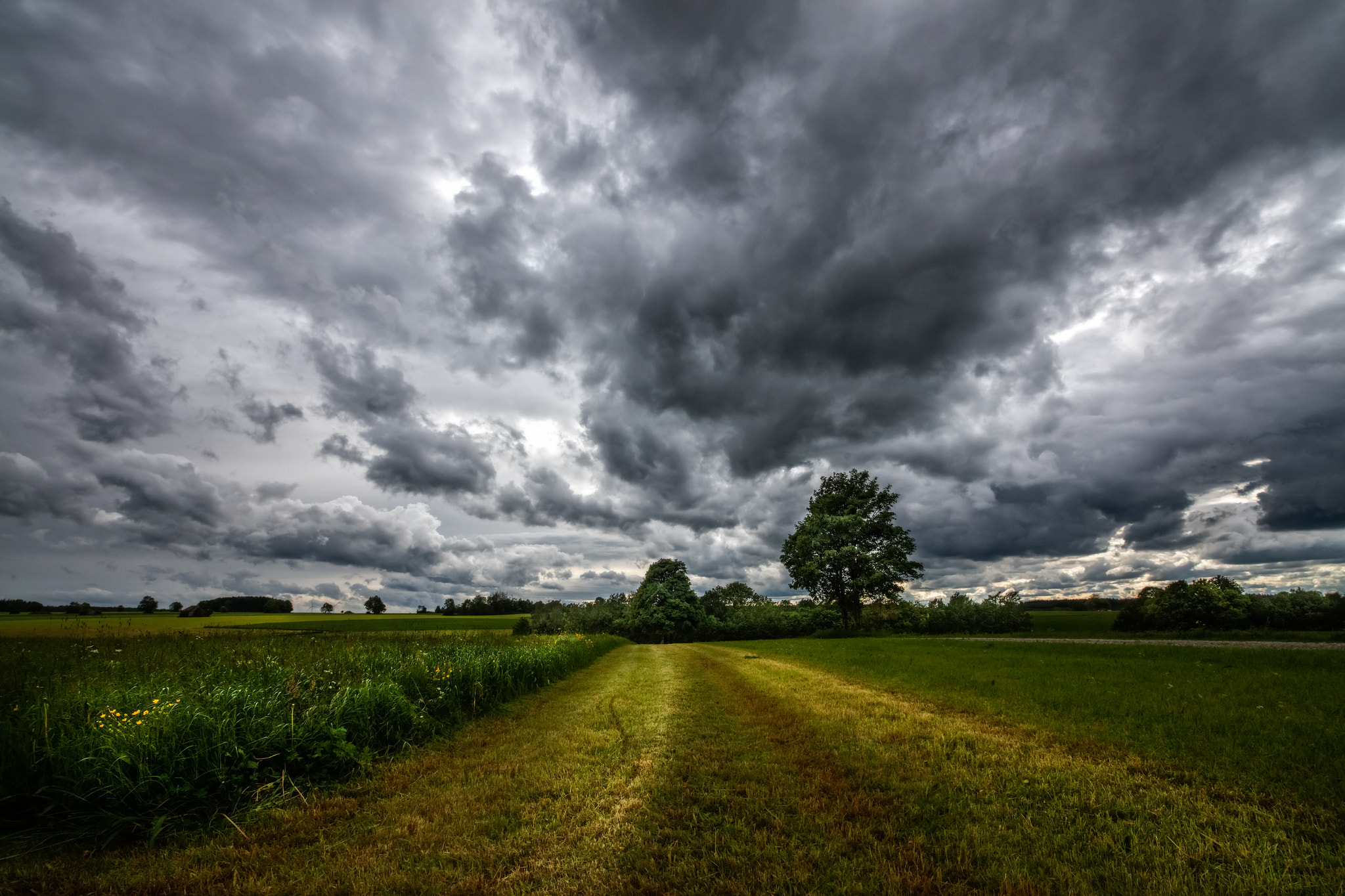 Canon EOS 5DS R sample photo. The day after photography