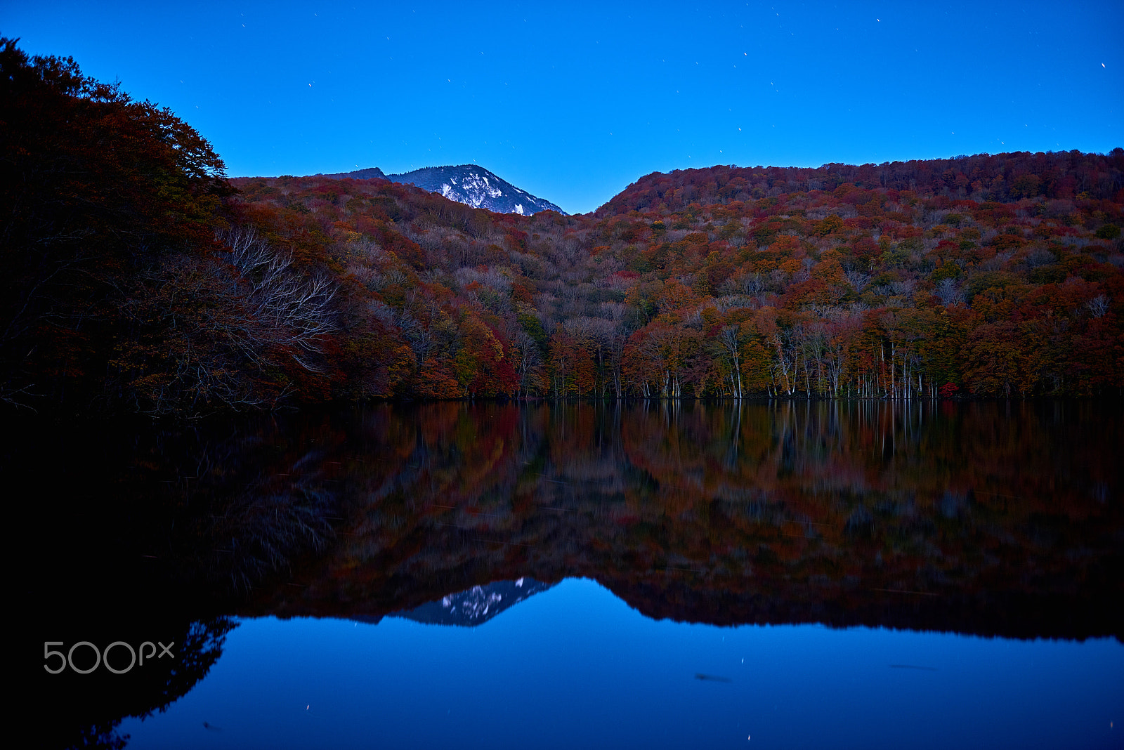 Nikon AF-S Nikkor 24-70mm F2.8G ED sample photo. Meikyoushisui （明鏡止水） photography