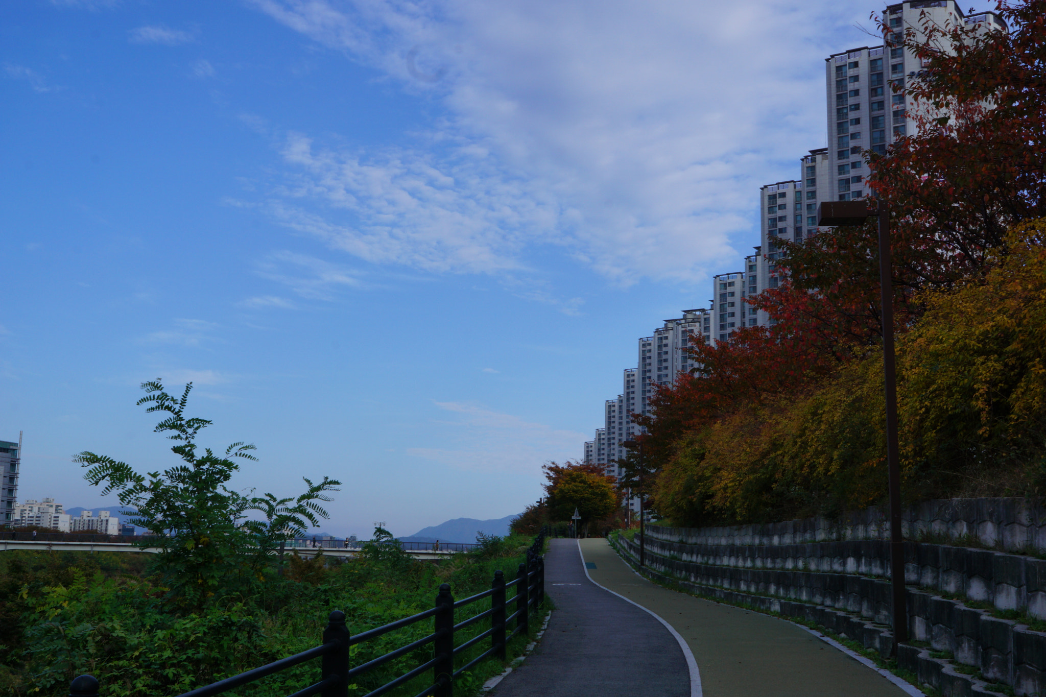 Sony FE 28mm F2 sample photo