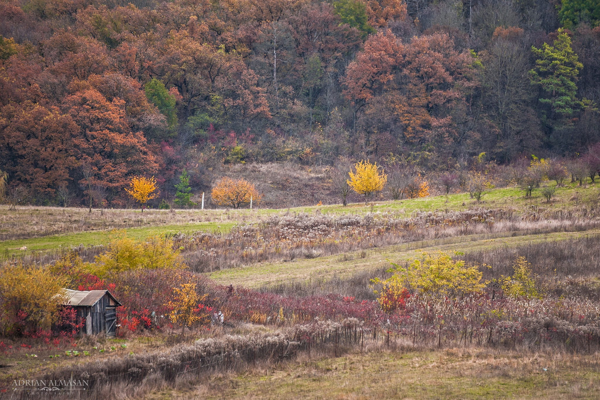 Canon EOS 5D sample photo. "the autumn colours" photography