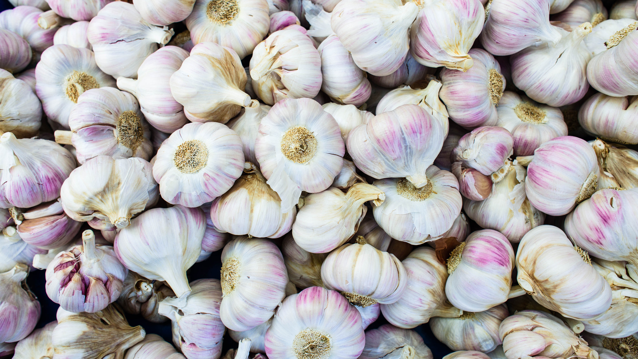 Nikon D800 + Nikon AF Nikkor 24mm F2.8D sample photo. Garlic in lyon photography