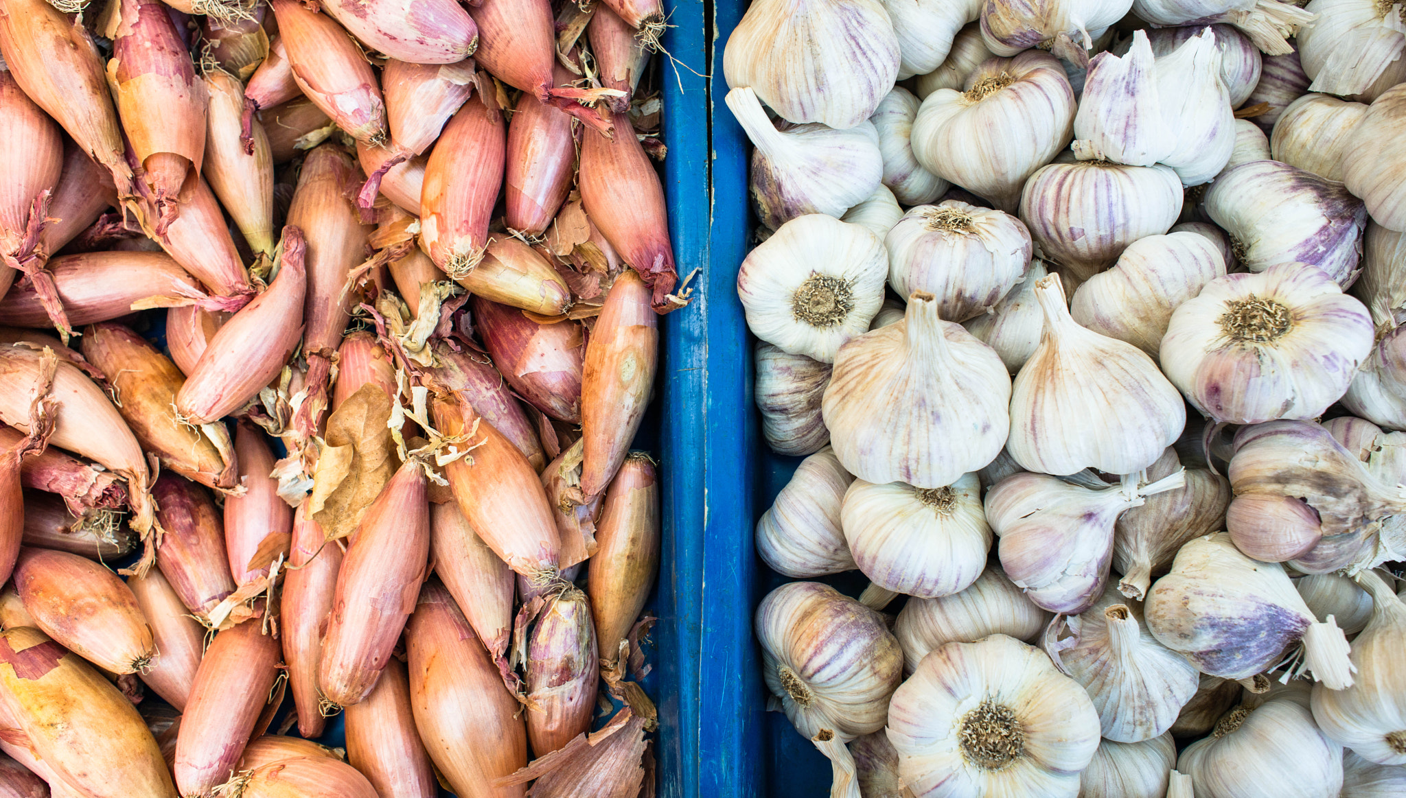 Nikon D800 + Nikon AF Nikkor 24mm F2.8D sample photo. Onion and garlic in lyon photography