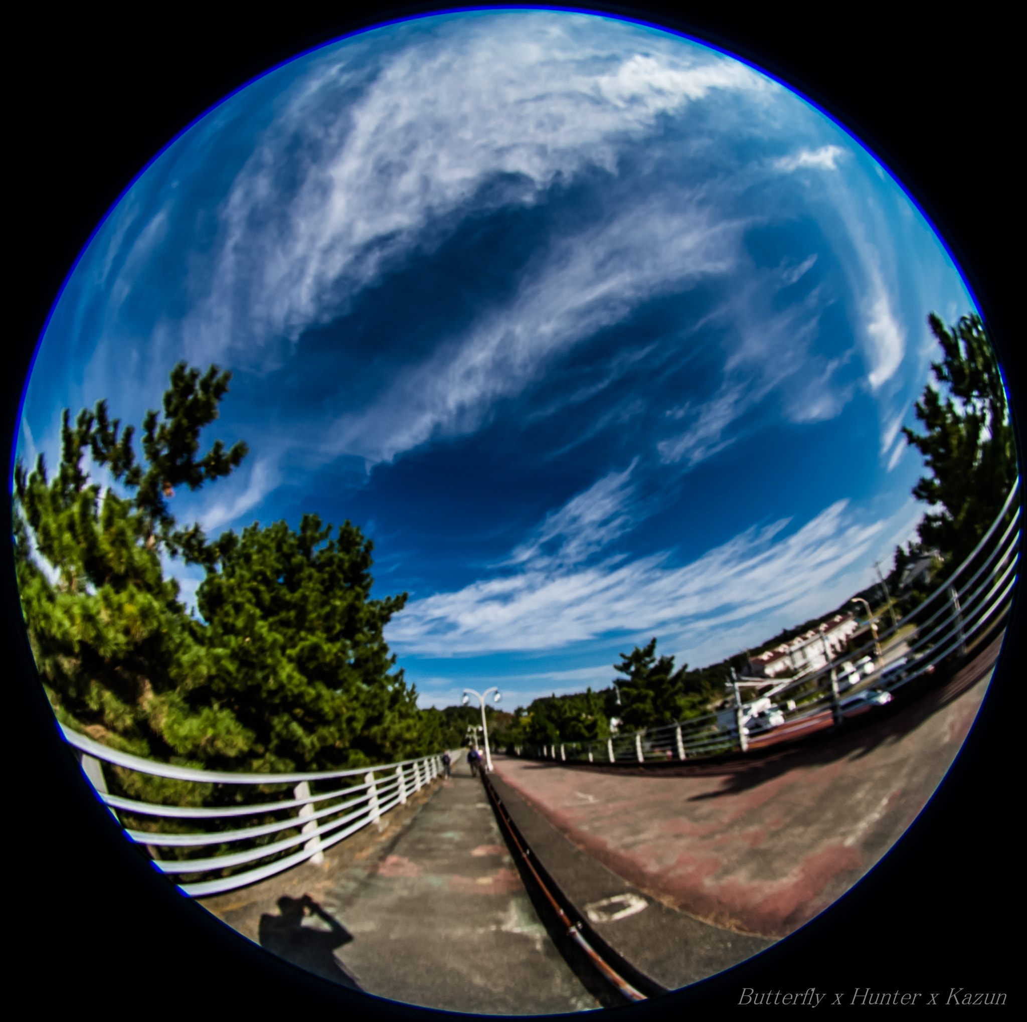 5mm F2.8 sample photo. Road! photography