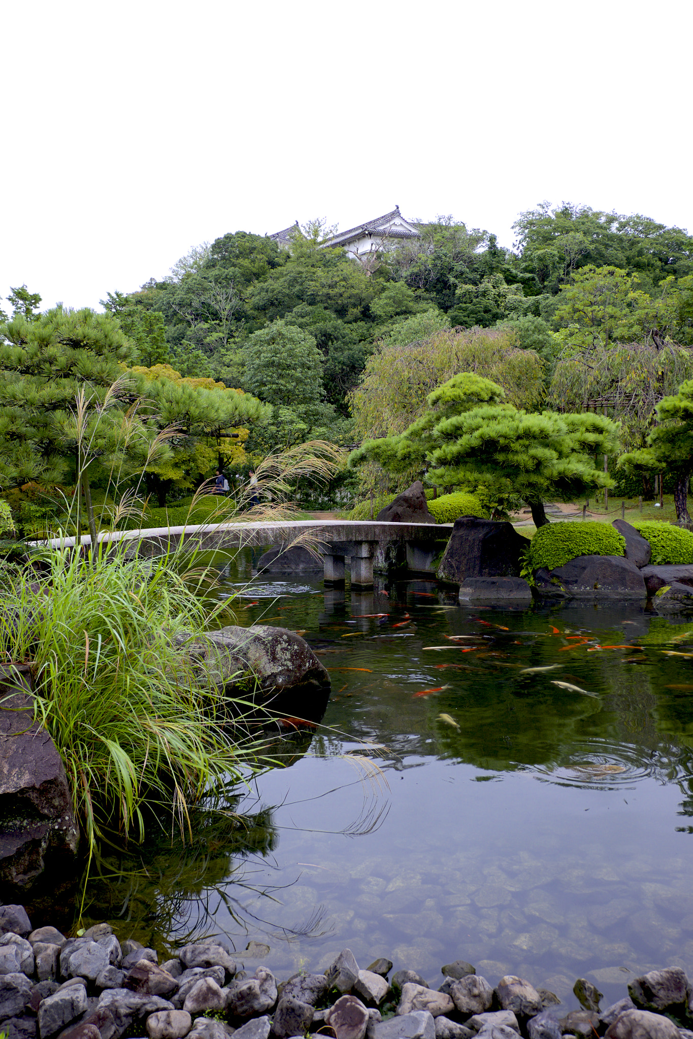 Fujifilm X-T1 + Fujifilm XC 16-50mm F3.5-5.6 OIS II sample photo. 好古园@姬路 photography