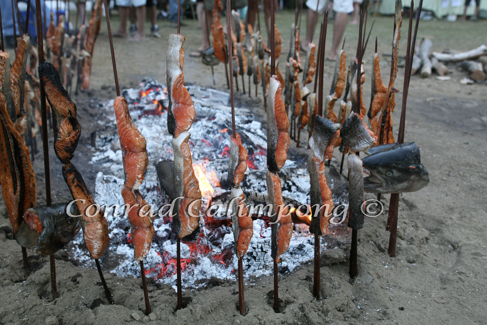 Canon EOS 5D sample photo. Salmon river feast photography