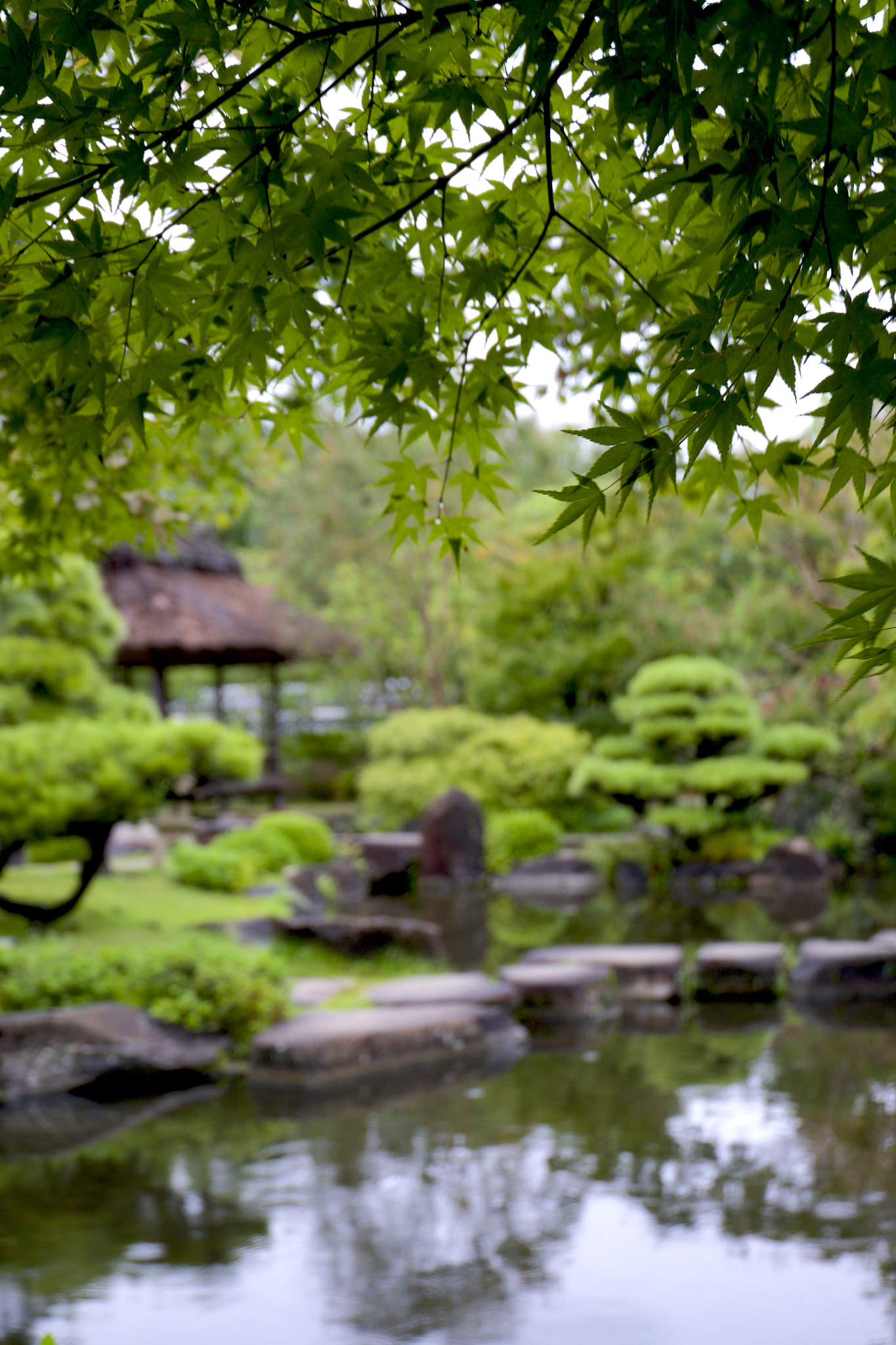 Fujifilm X-T1 + Fujifilm XC 16-50mm F3.5-5.6 OIS II sample photo. 好古园@姬路 photography