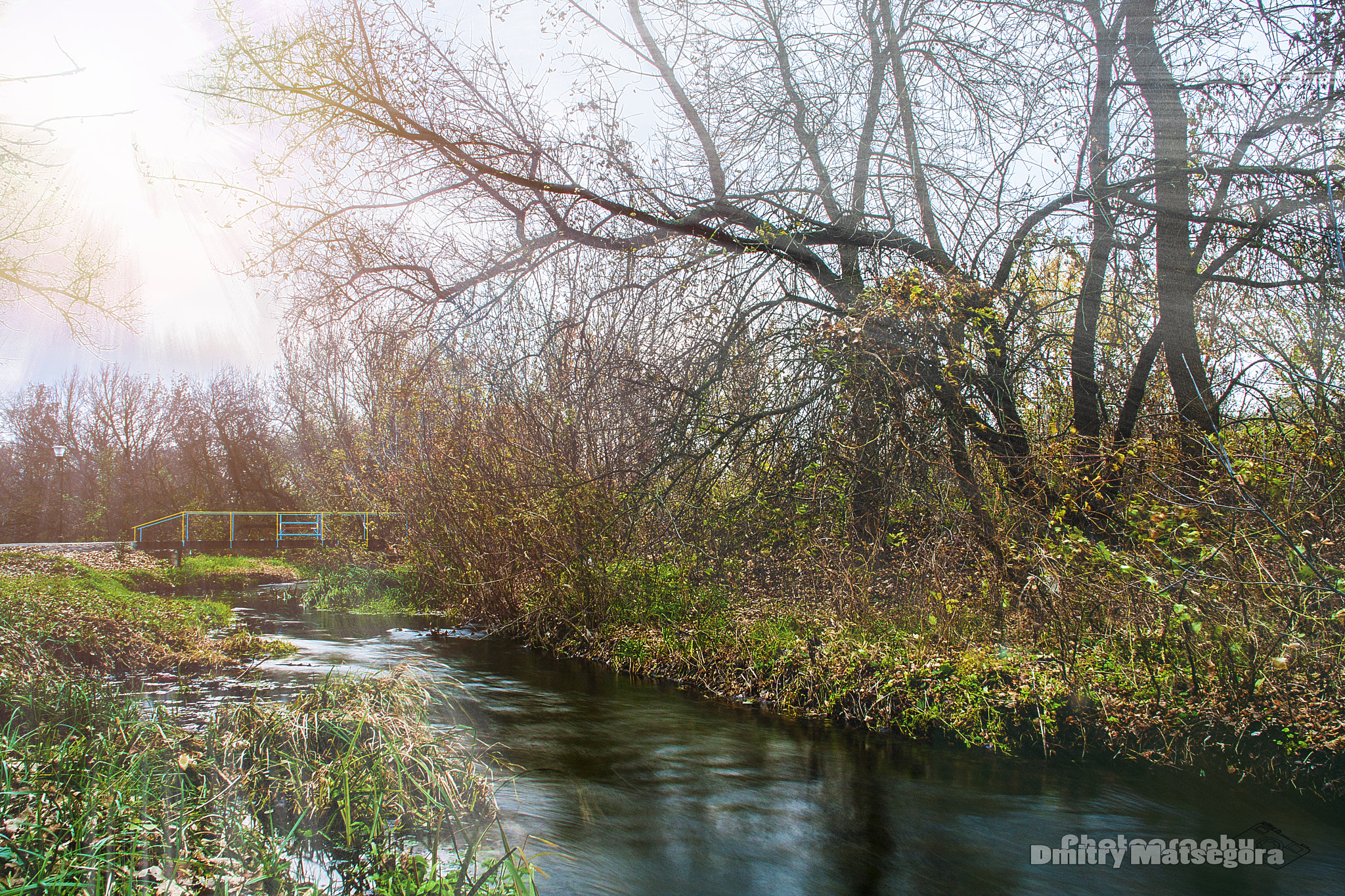 Canon EOS 40D + Sigma 18-125mm f/3.5-5.6 DC IF ASP sample photo. River in the garden photography