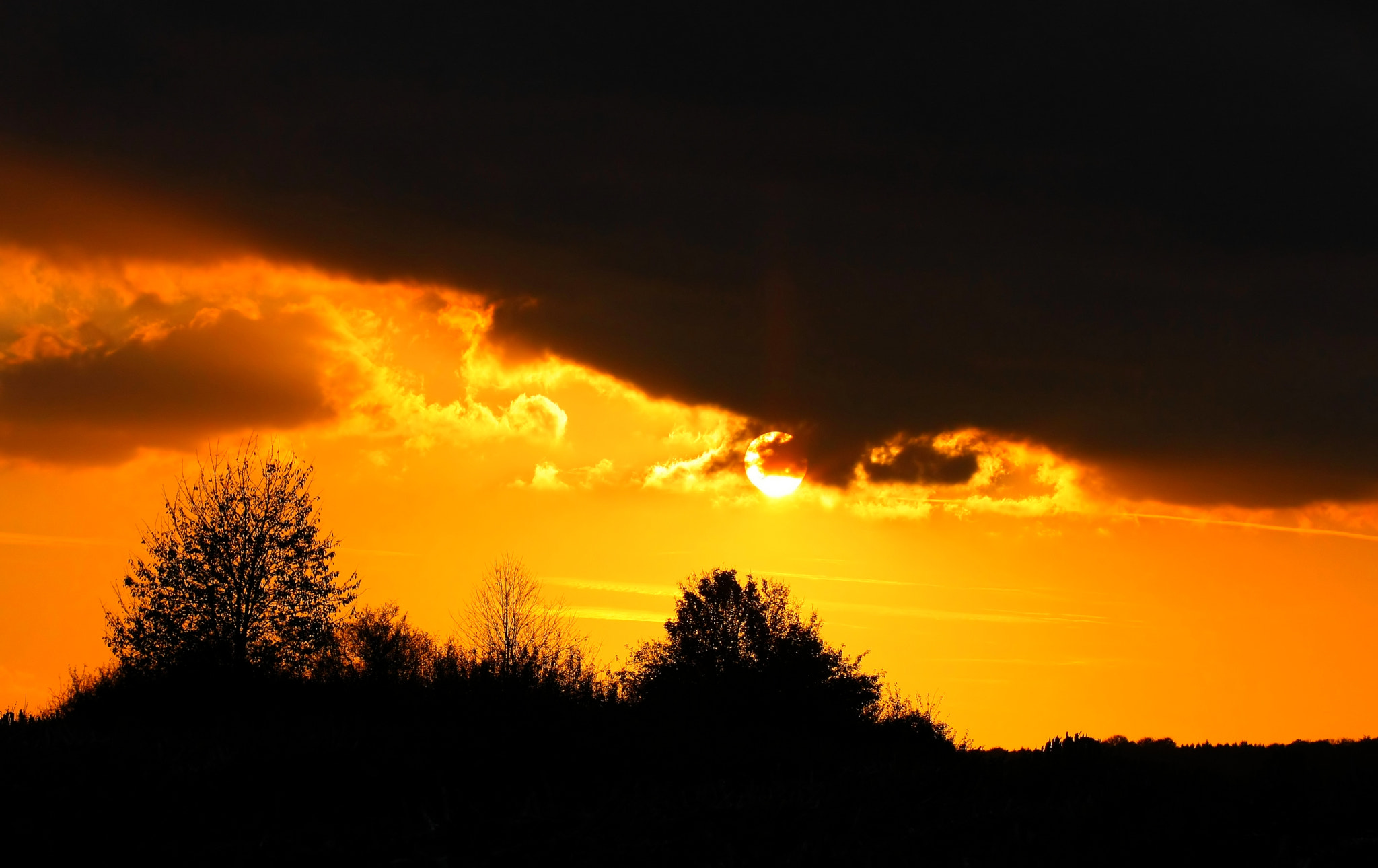 Canon EF 100mm F2.8 Macro USM sample photo. Before the storm.... photography