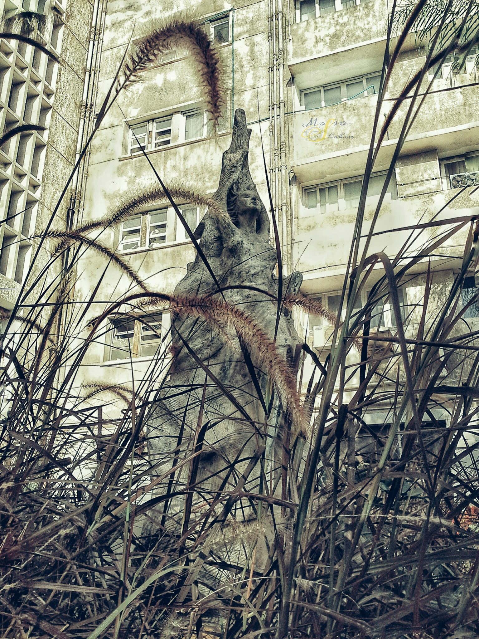 Samsung Galaxy Note 8.0 sample photo. Statue in medical school photography