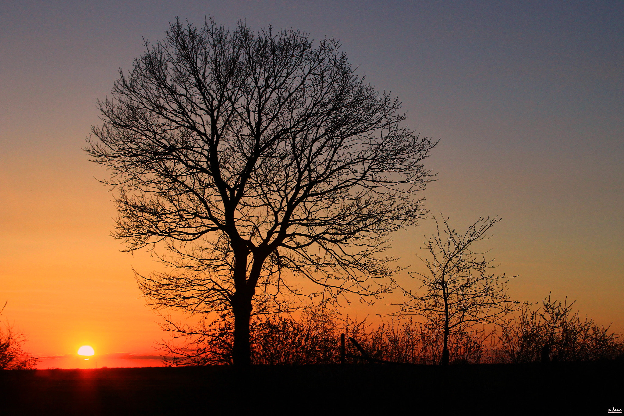 Canon EF 28-135mm F3.5-5.6 IS USM sample photo. Apus ( sunset ) photography