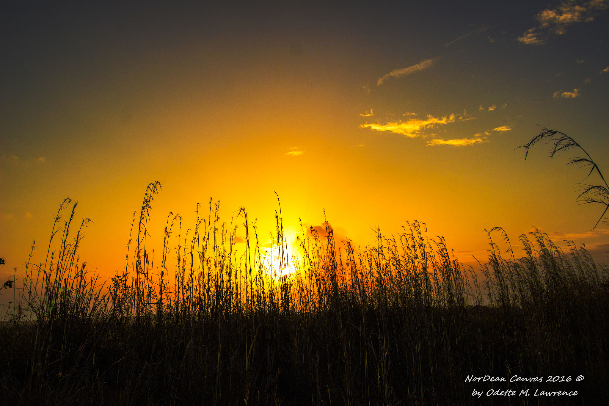 Sigma 10-20mm F3.5 EX DC HSM sample photo. Pt lisas sunset through the grass photography