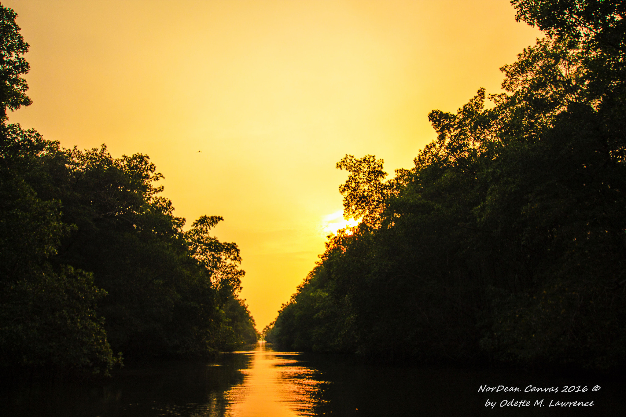 Canon EOS 1100D (EOS Rebel T3 / EOS Kiss X50) + Sigma 10-20mm F3.5 EX DC HSM sample photo. Sunset on the caroni river photography