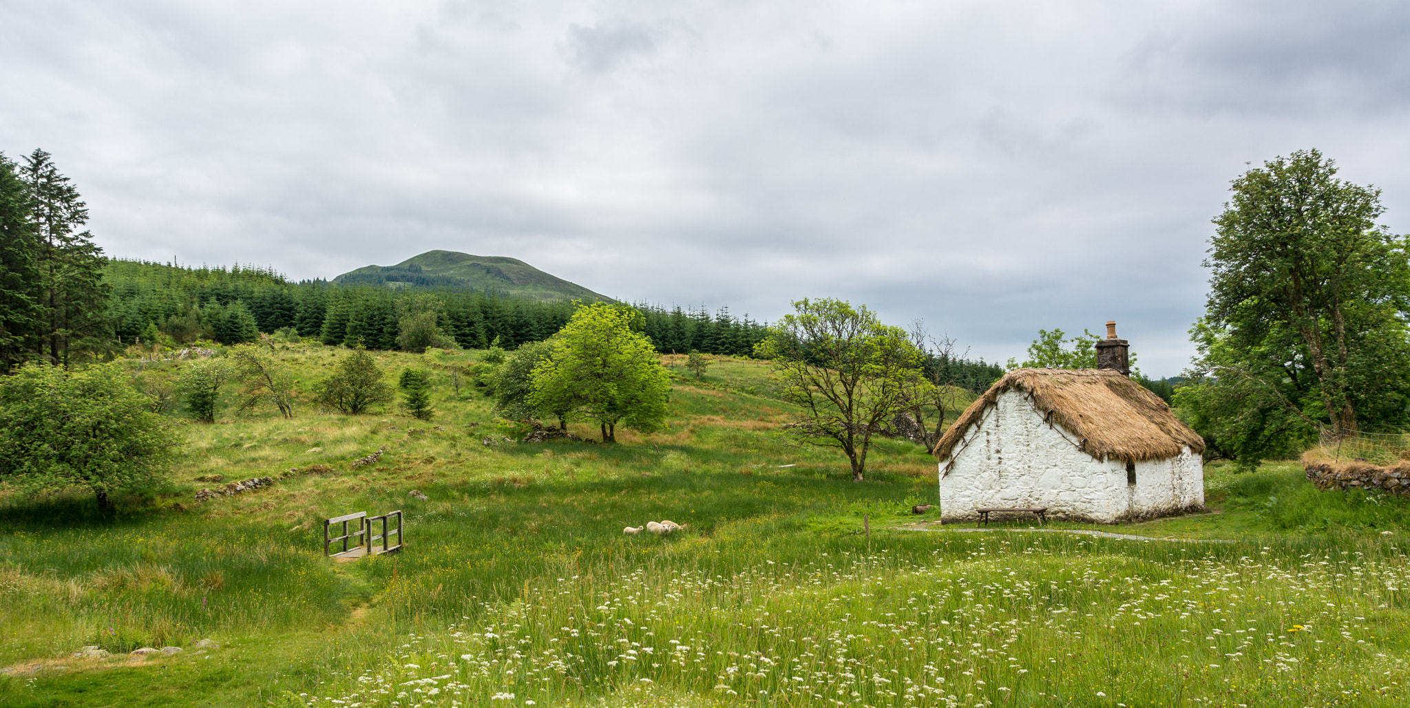 Sigma 17-70mm F2.8-4 DC Macro OS HSM sample photo. Auchindrain old farming place photography