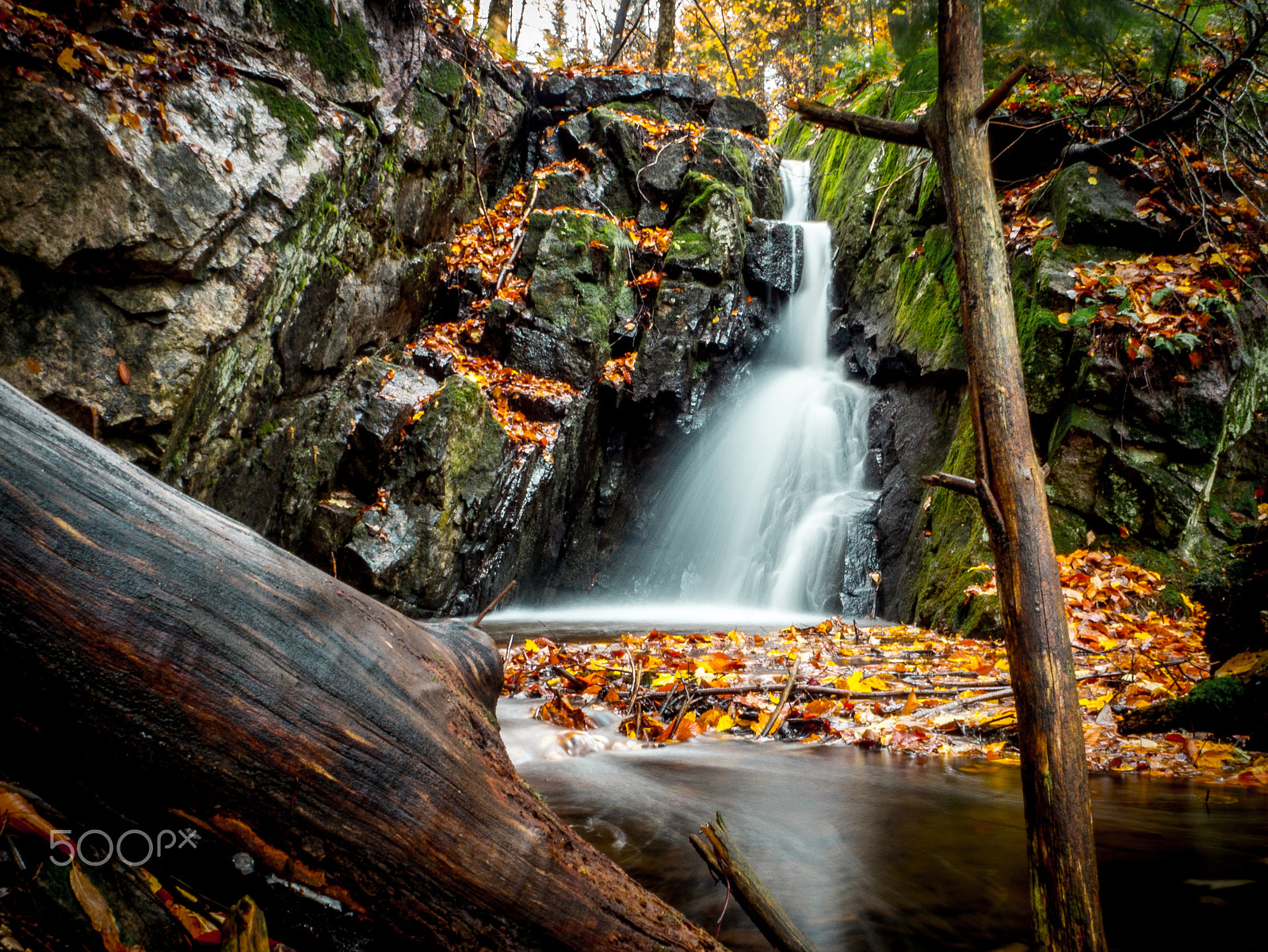 Olympus M.Zuiko Digital ED 14-42mm F3.5-5.6 EZ sample photo. Fall lover - lac de la canardière - oct 2016 photography