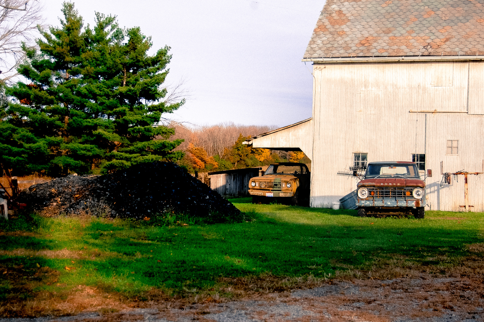 Nikon D40 sample photo. Antiques photography