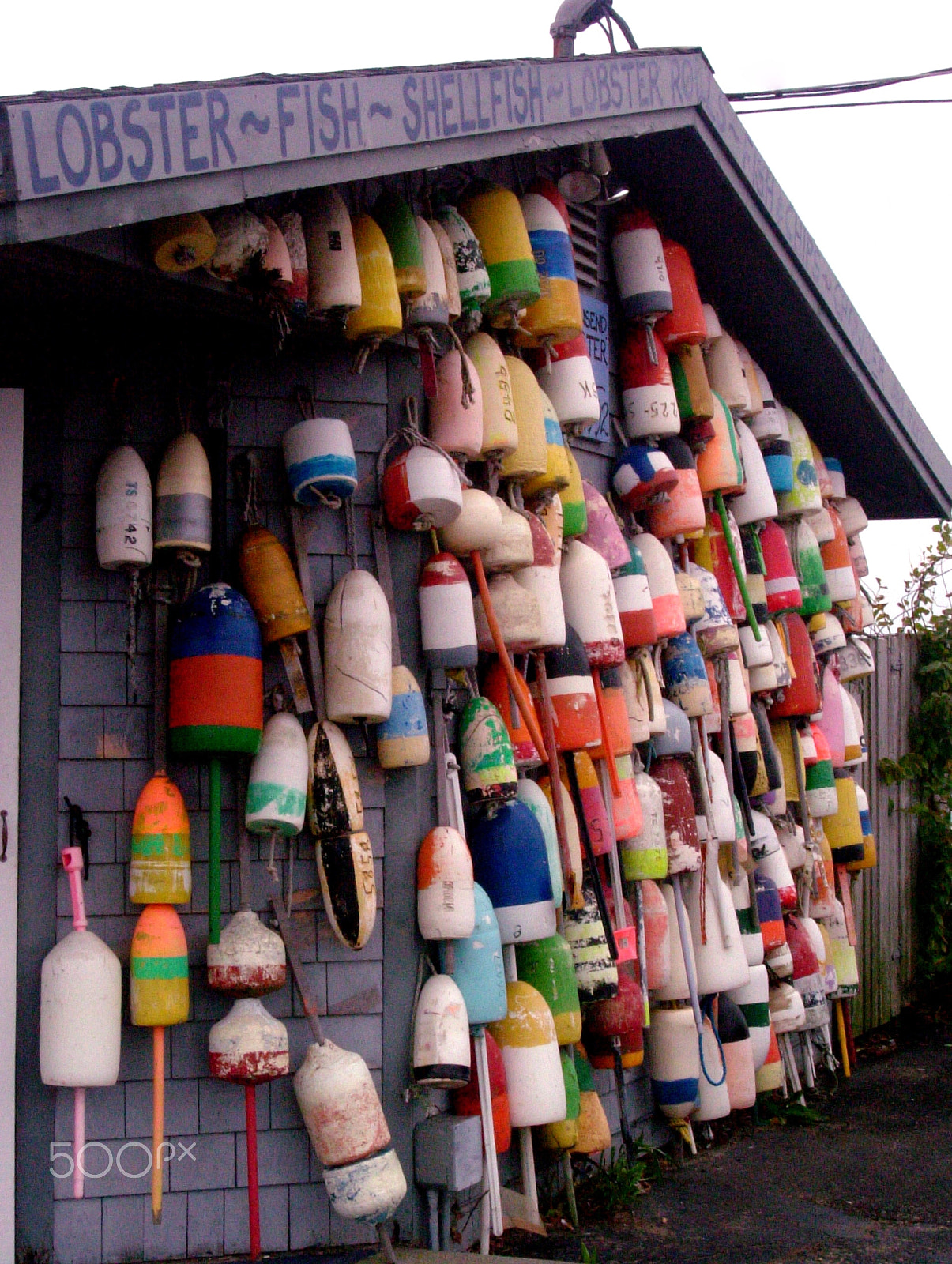 Fujifilm FinePix F410 sample photo. Cape cod lobster pot buoys photography