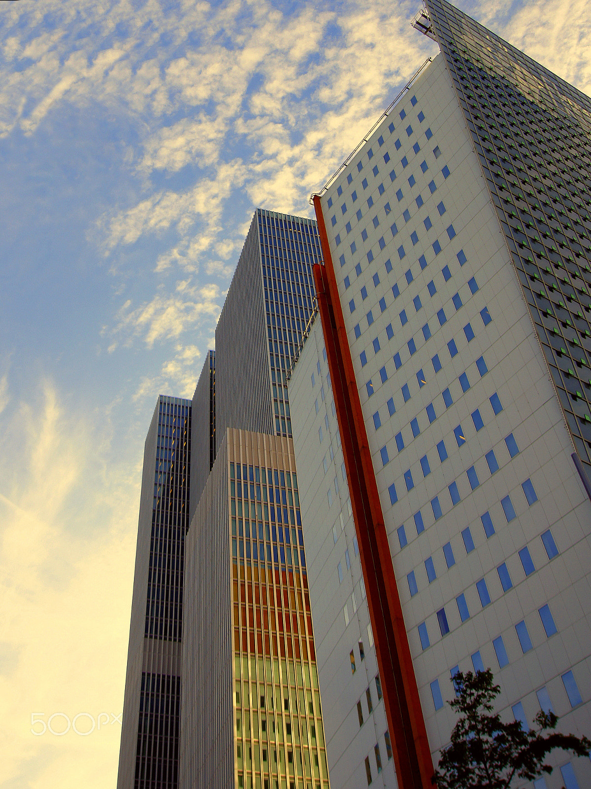 Sony SLT-A55 (SLT-A55V) + Sigma 10-20mm F3.5 EX DC HSM sample photo. Rotterdam photography