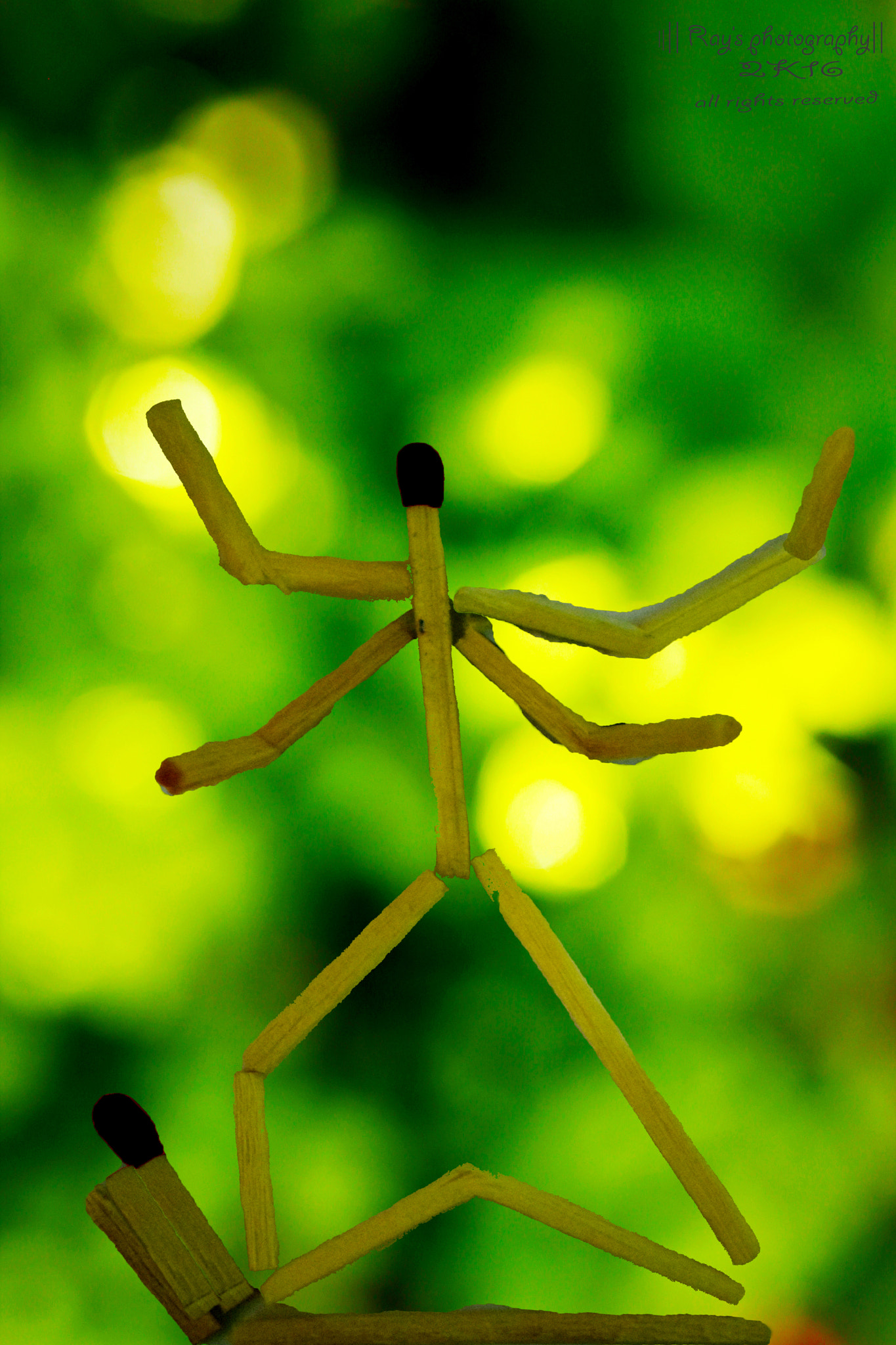 Canon EF-S 60mm F2.8 Macro USM sample photo. Kali photography