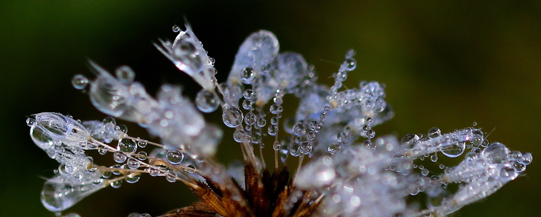 Sigma 105mm F2.8 EX DG OS HSM sample photo. Img photography
