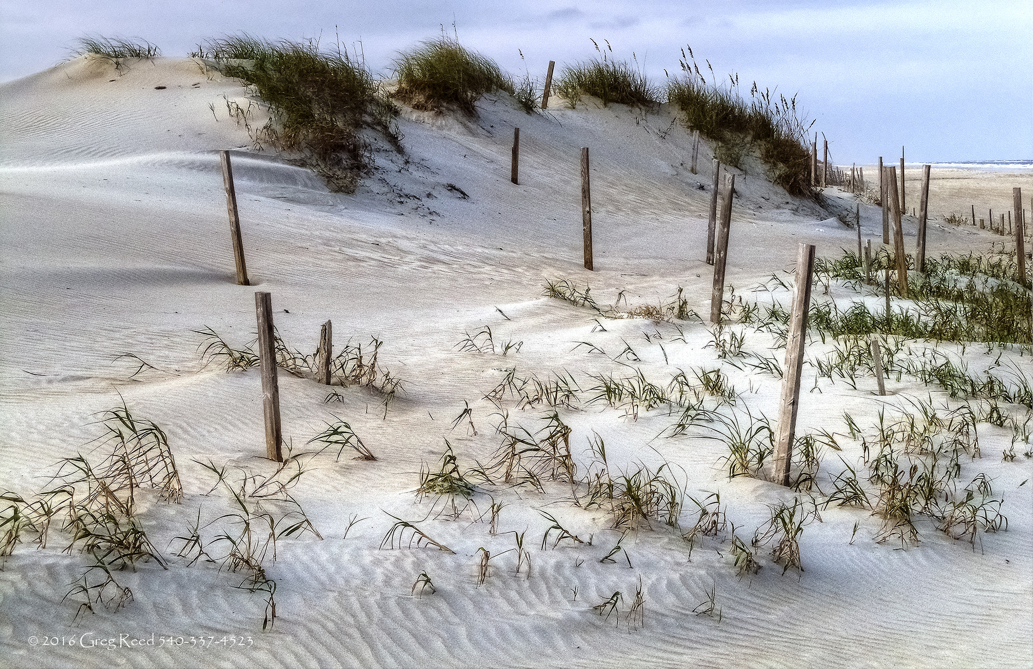Kodak EASYSHARE Z950 DIGITAL CAMERA sample photo. The sands of obx hdr smooth photography