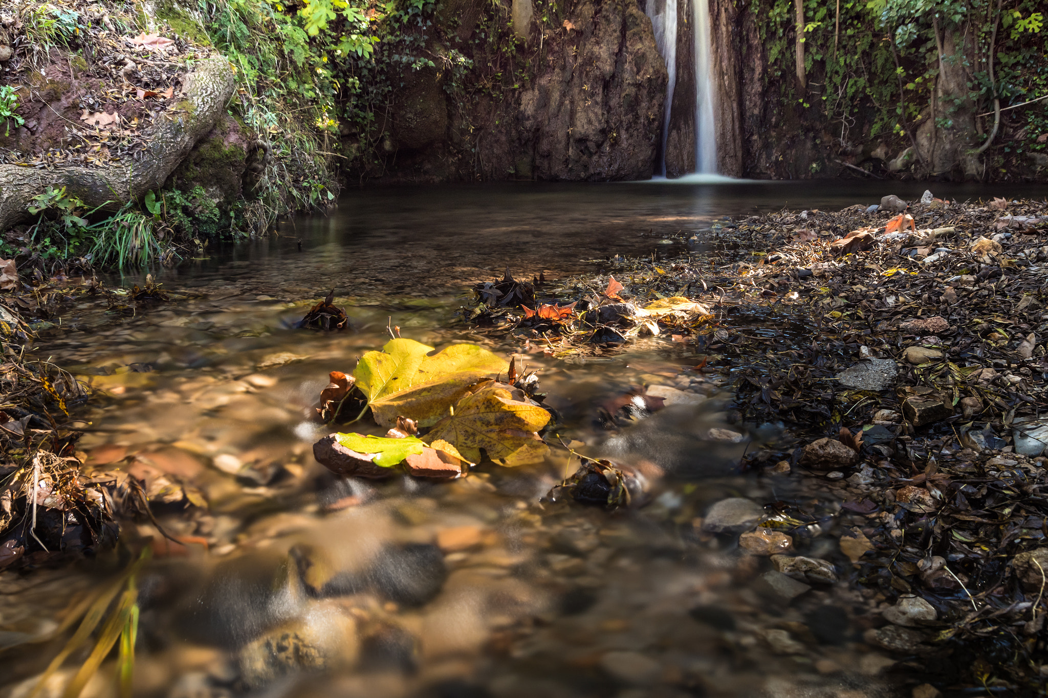Pentax K-S1 sample photo. Autumn fall photography