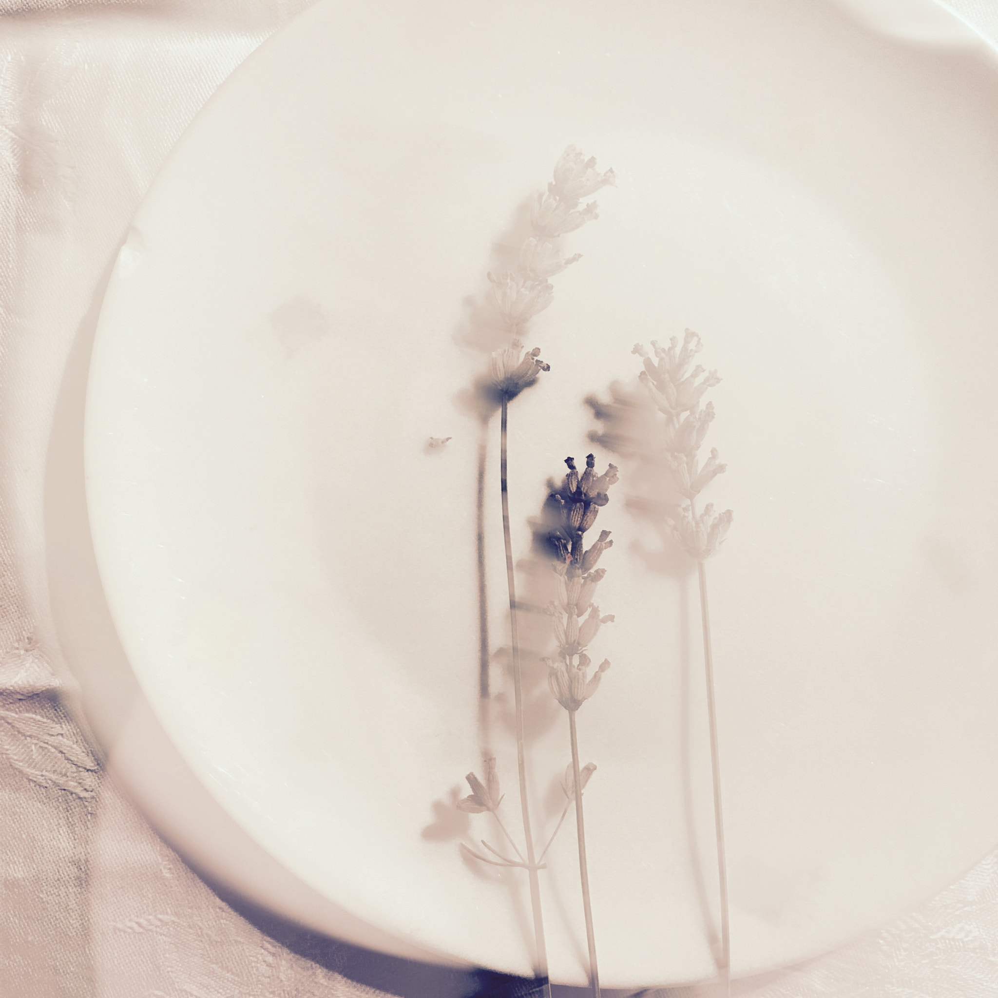 Hipstamatic 322 sample photo. Lavander photography