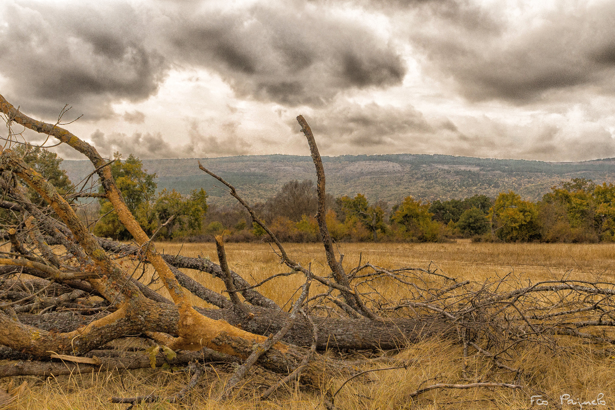 Sony a99 II sample photo. Tarde de tormenta  photography