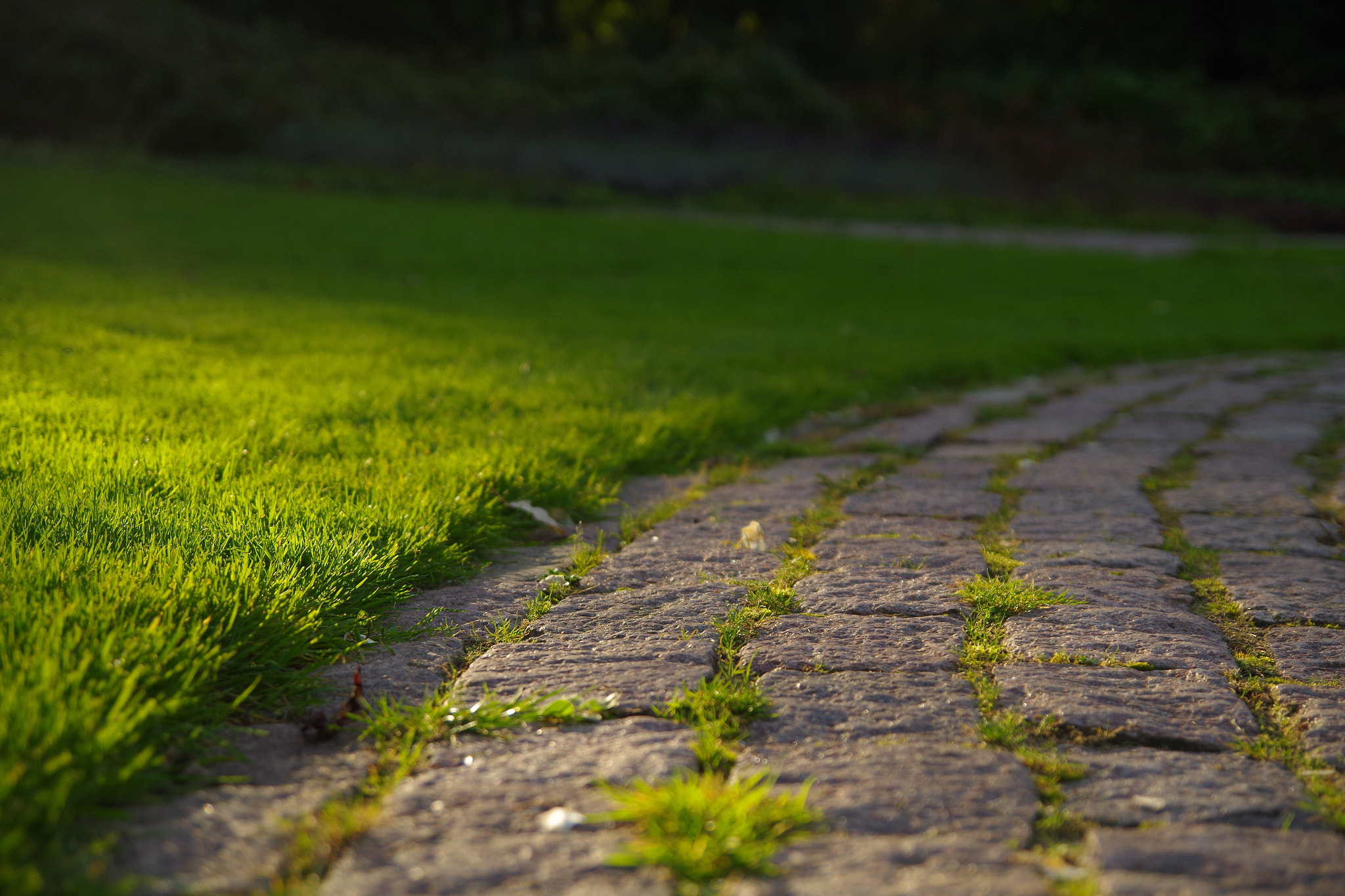 Pentax K-30 sample photo. Day is coming slowly photography