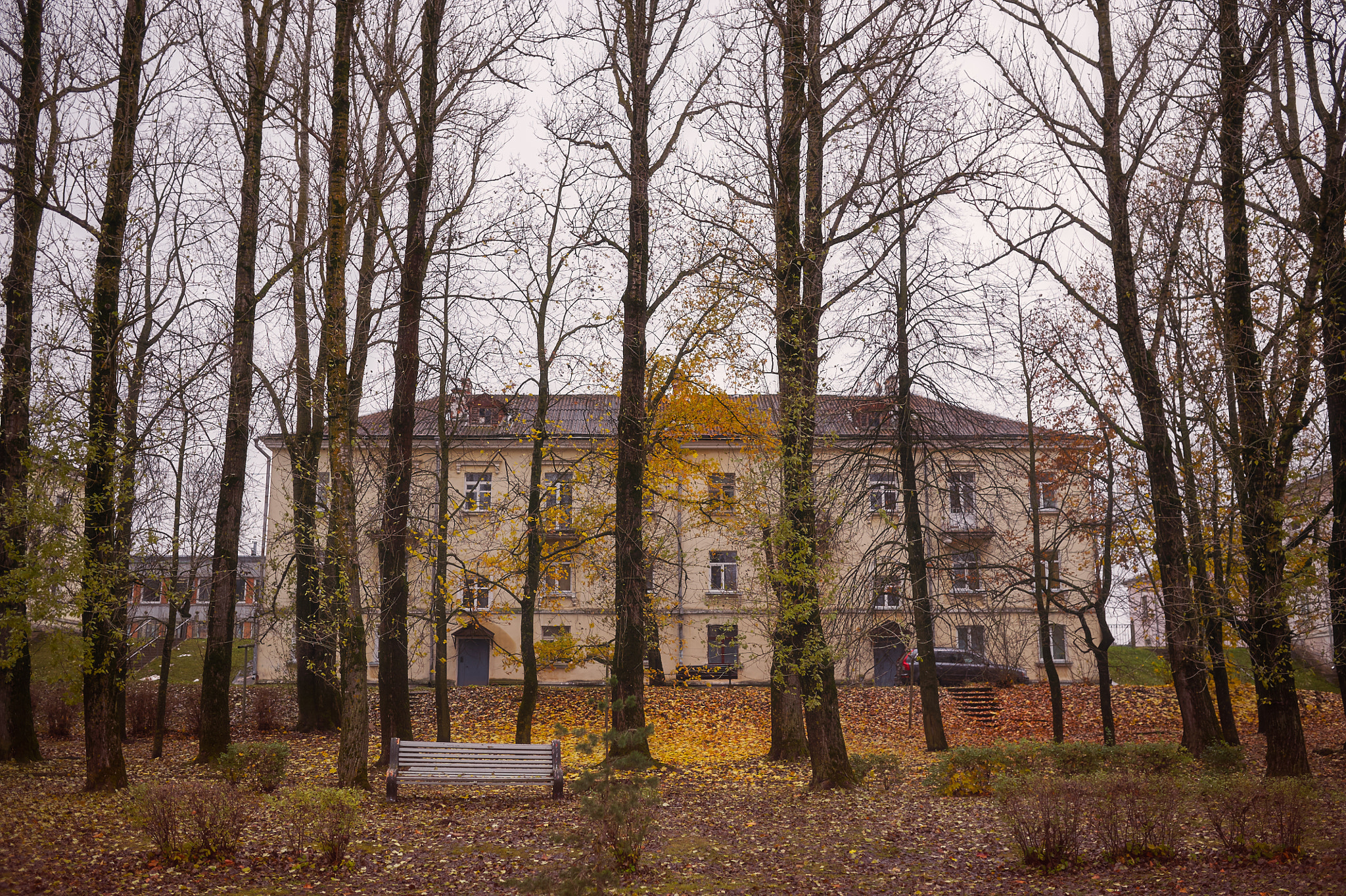 Sigma 35mm F1.4 DG HSM Art sample photo. октябрь photography