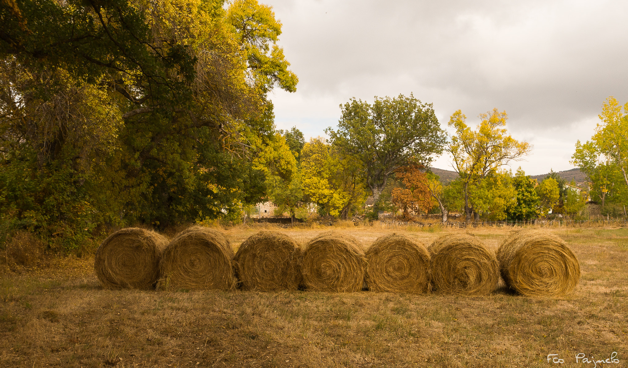 Sony a99 II + Sony DT 16-50mm F2.8 SSM sample photo. Autumn photography