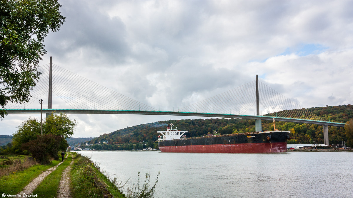 Canon EF-S 10-22mm F3.5-4.5 USM sample photo. Beaufiks sous le pont de brotonne photography