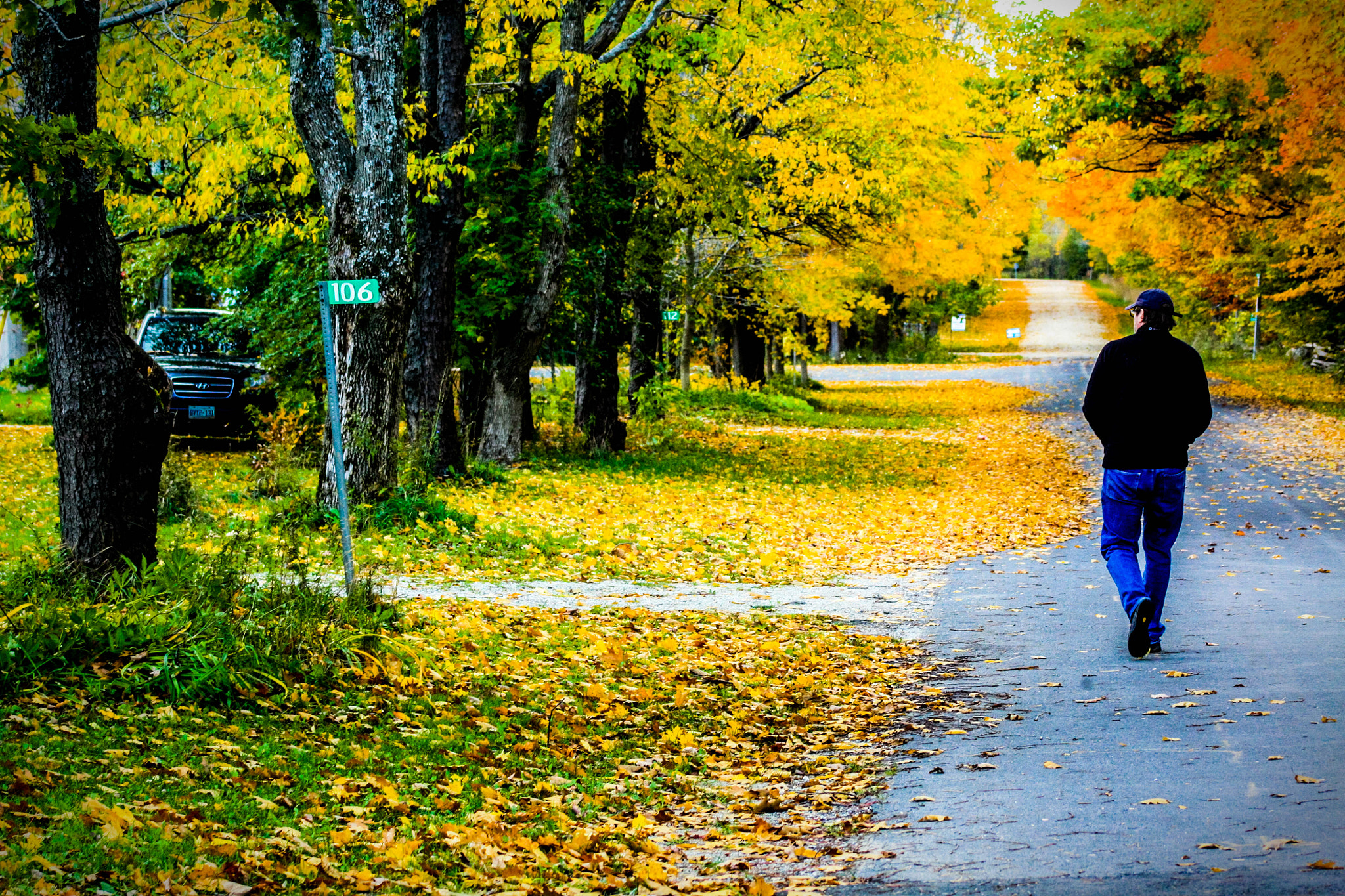 Canon EF 75-300mm f/4-5.6 USM sample photo. Walk in the fall photography