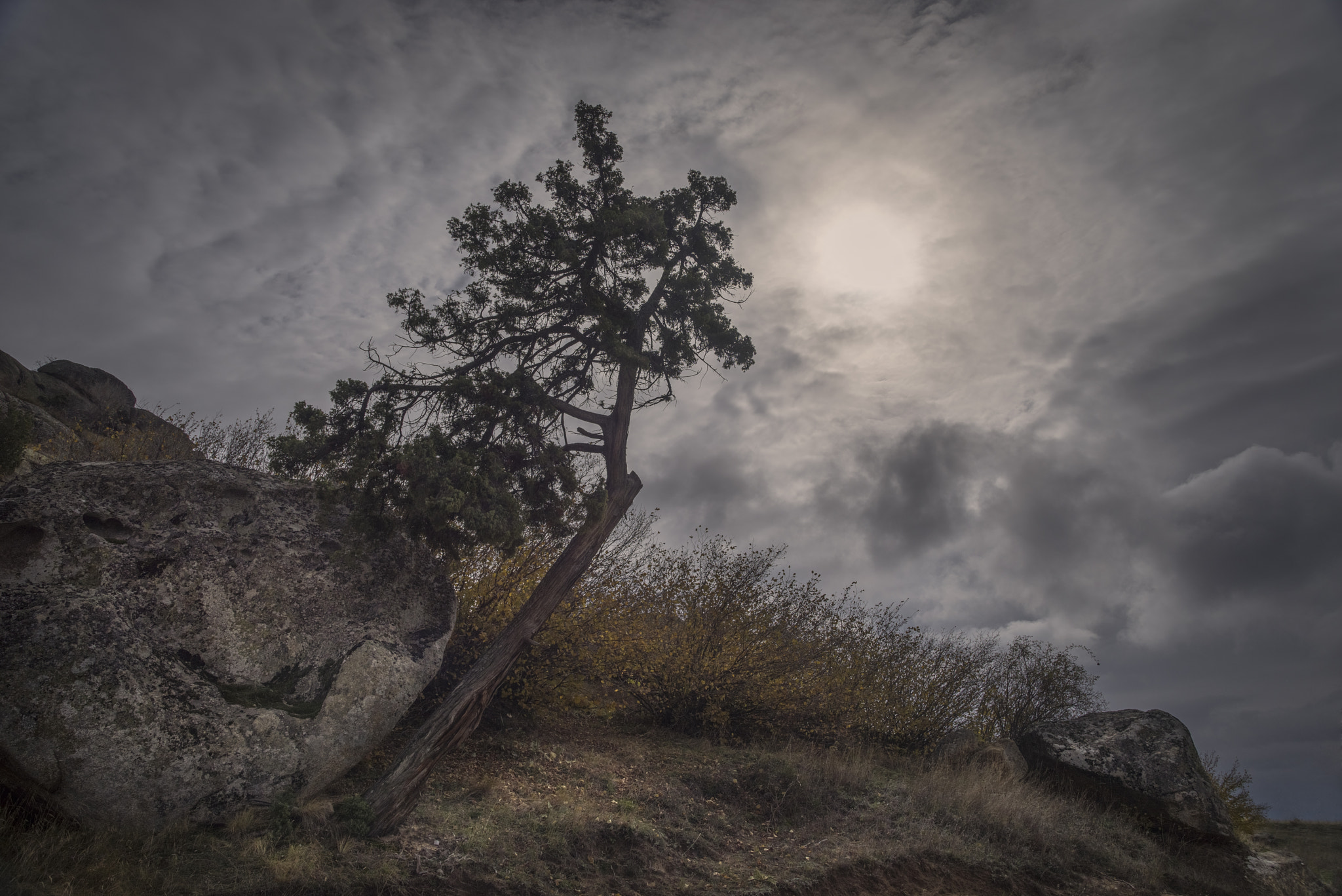 Pentax K-1 sample photo. Stone & tree photography