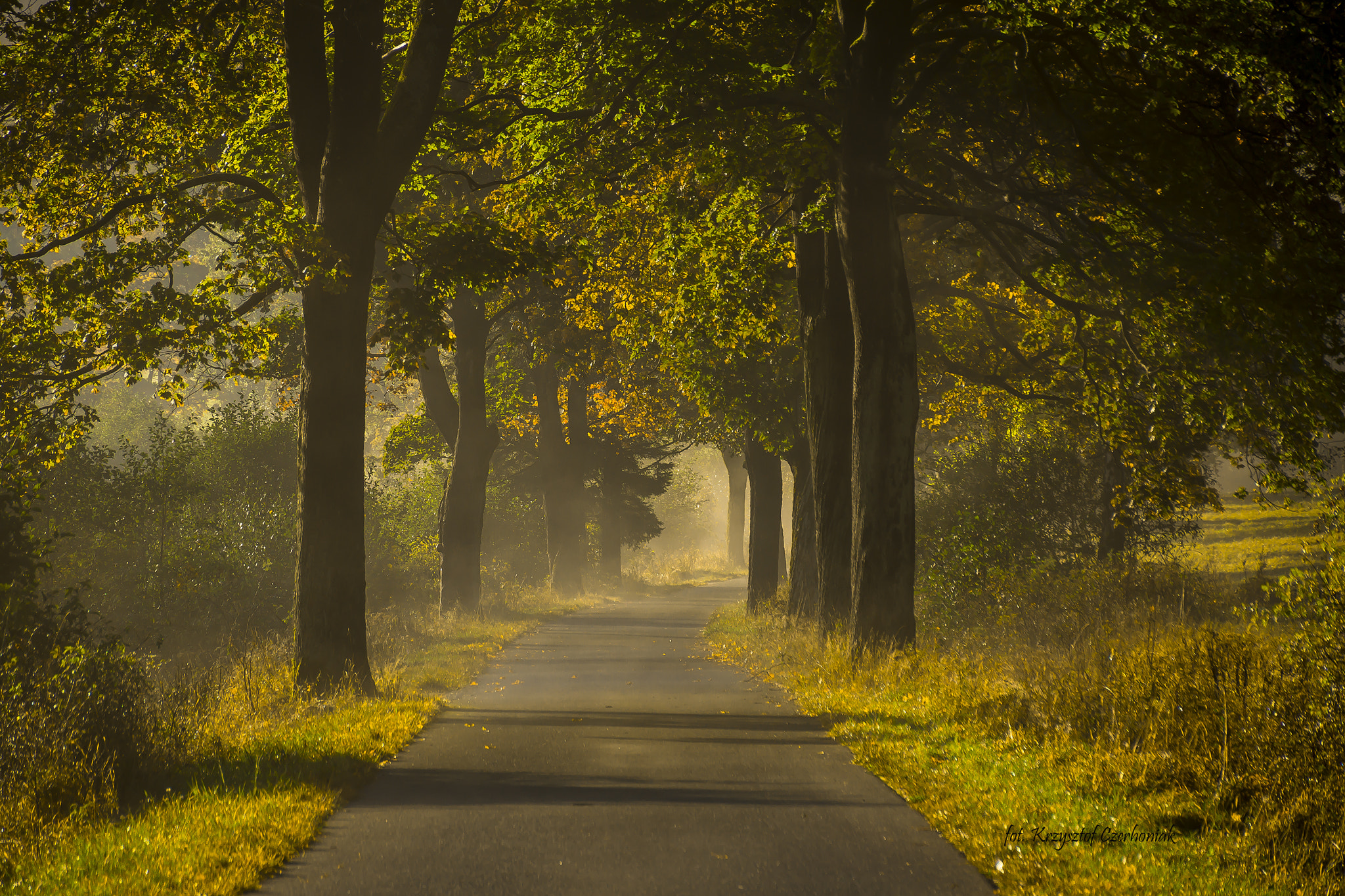 Tamron 18-270mm F3.5-6.3 Di II PZD sample photo. Autumn... photography