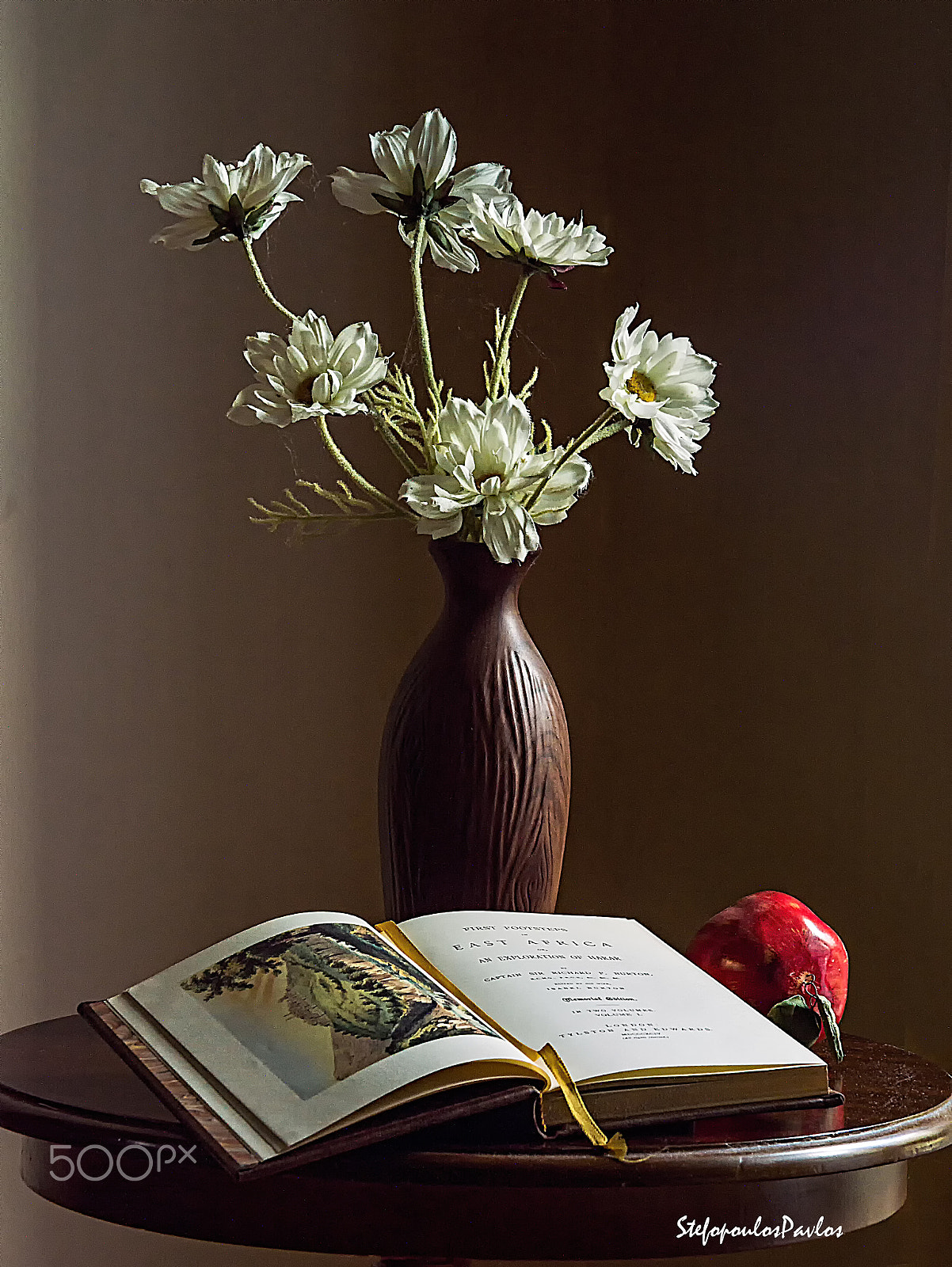 Nikon D3200 sample photo. The vase of flowers and a book photography