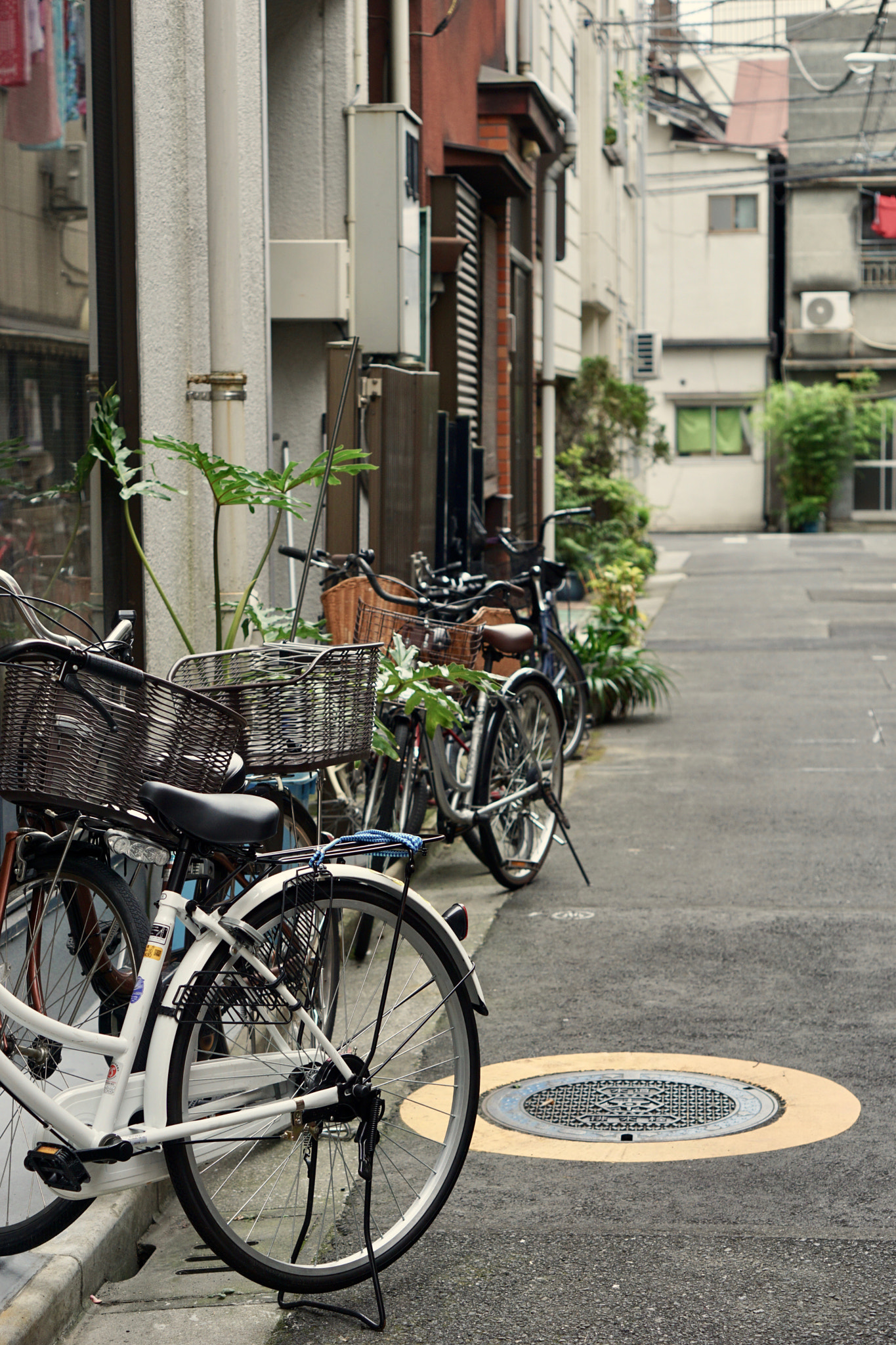 Sony a6000 + Sony E 50mm F1.8 OSS sample photo. Tokyo photography