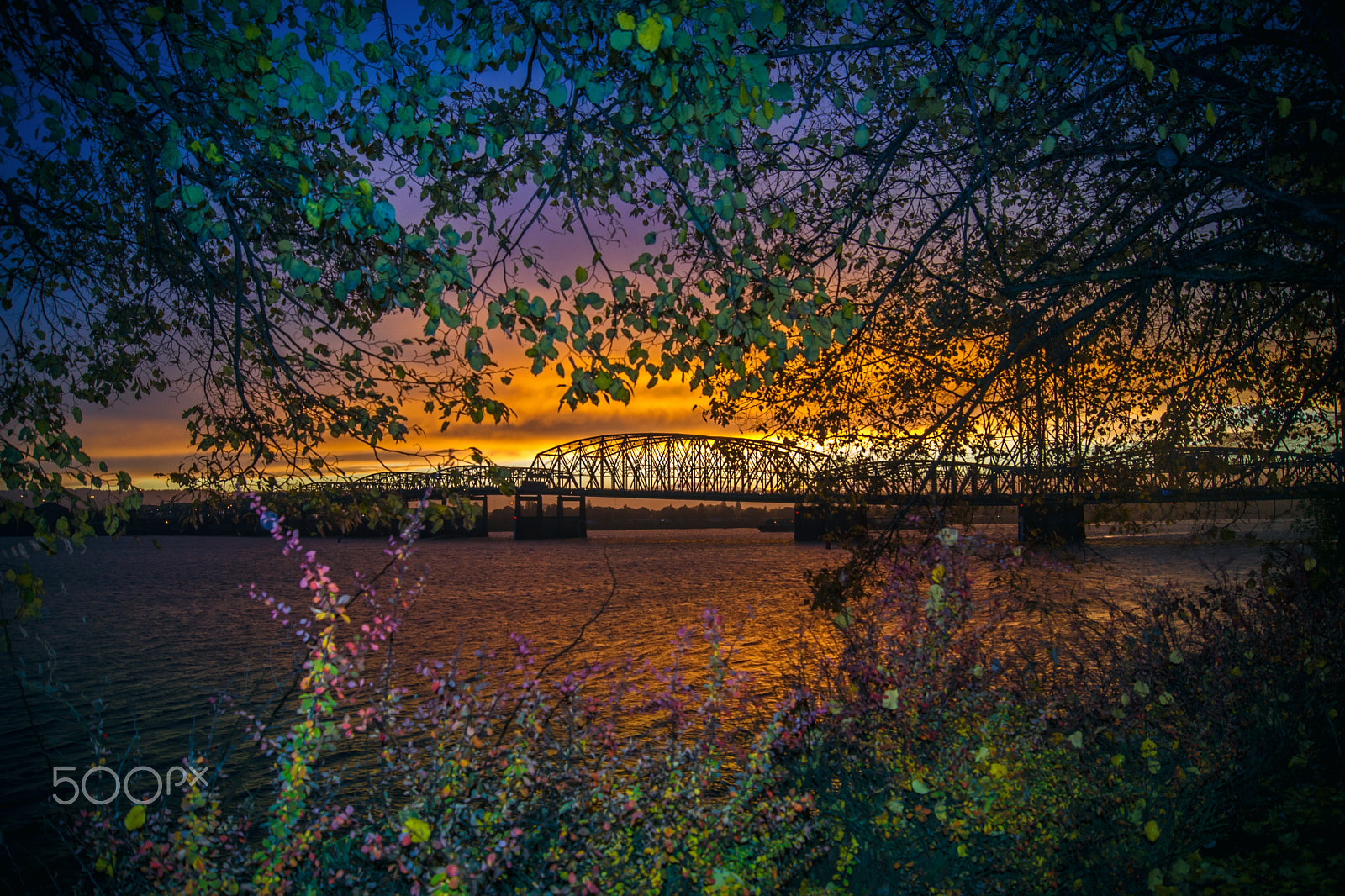 Sony SLT-A77 sample photo. Autumn bridge photography