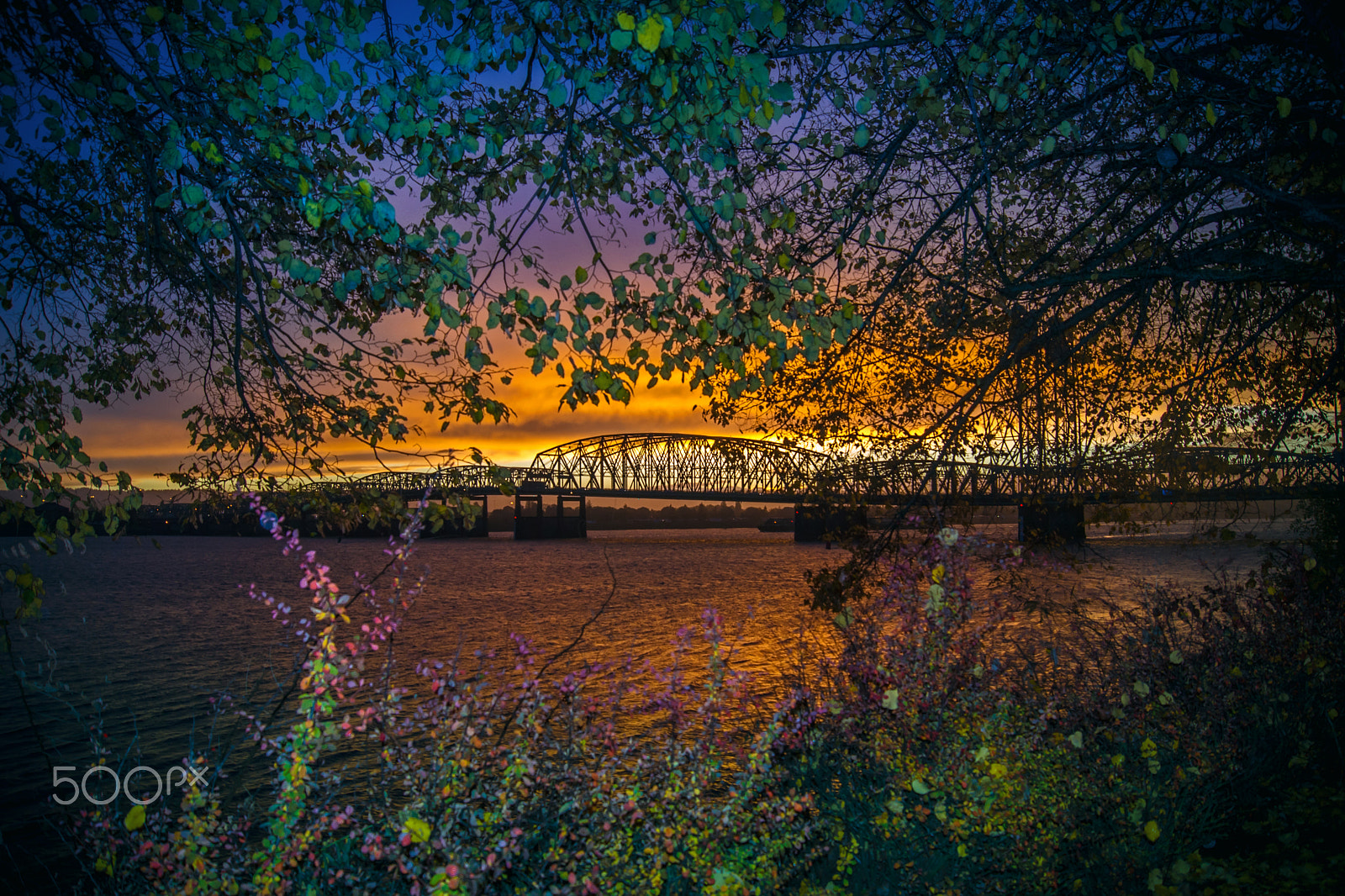 Sony SLT-A77 + Sony DT 18-55mm F3.5-5.6 SAM sample photo. Autumn bridge photography