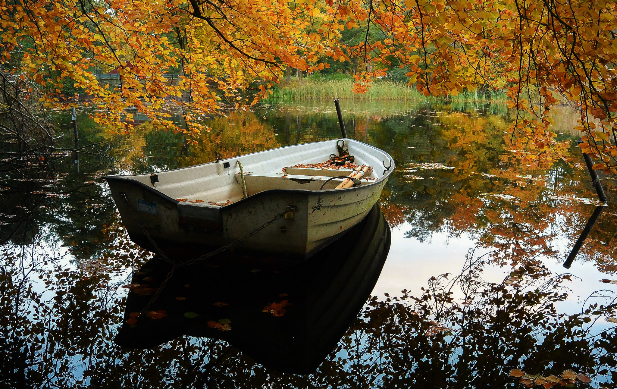 Nikon 1 Nikkor 11-27.5mm F3.5-5.6 sample photo. The boat - once more... photography