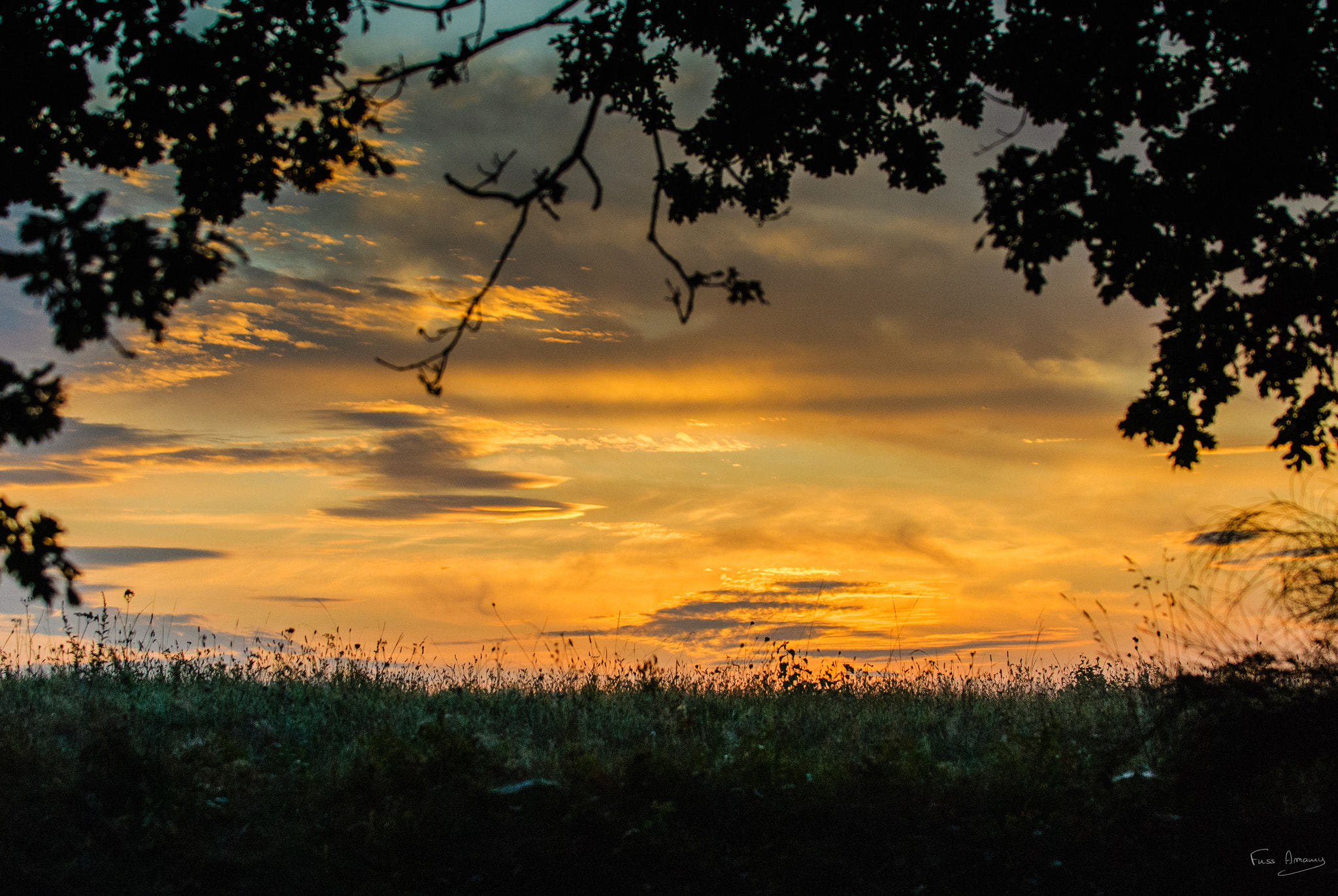 Nikon D200 sample photo. Windows on the nature photography