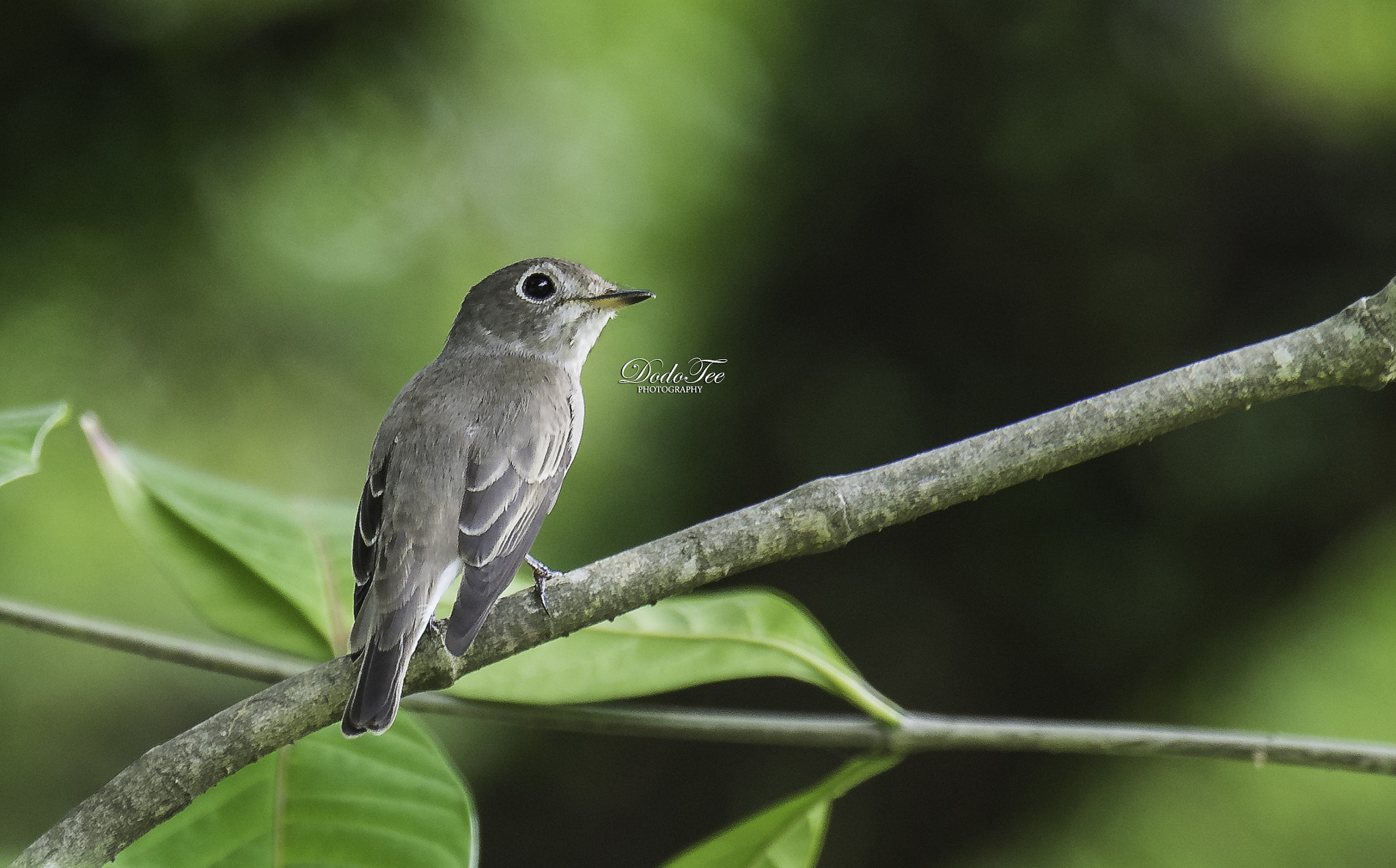 Sony 70-400mm F4-5.6 G SSM II sample photo